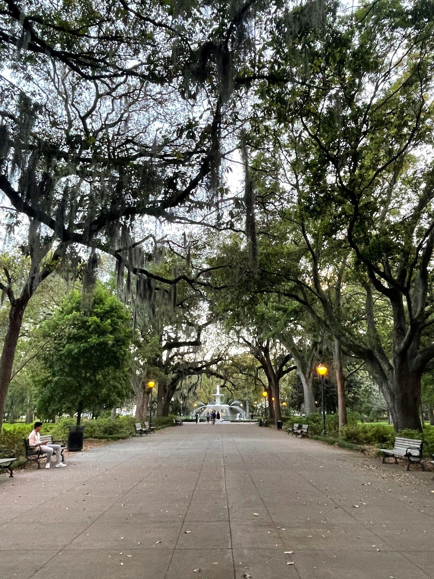 A large sidewalk that a canopy of trees leading to the Forsyth Fountain