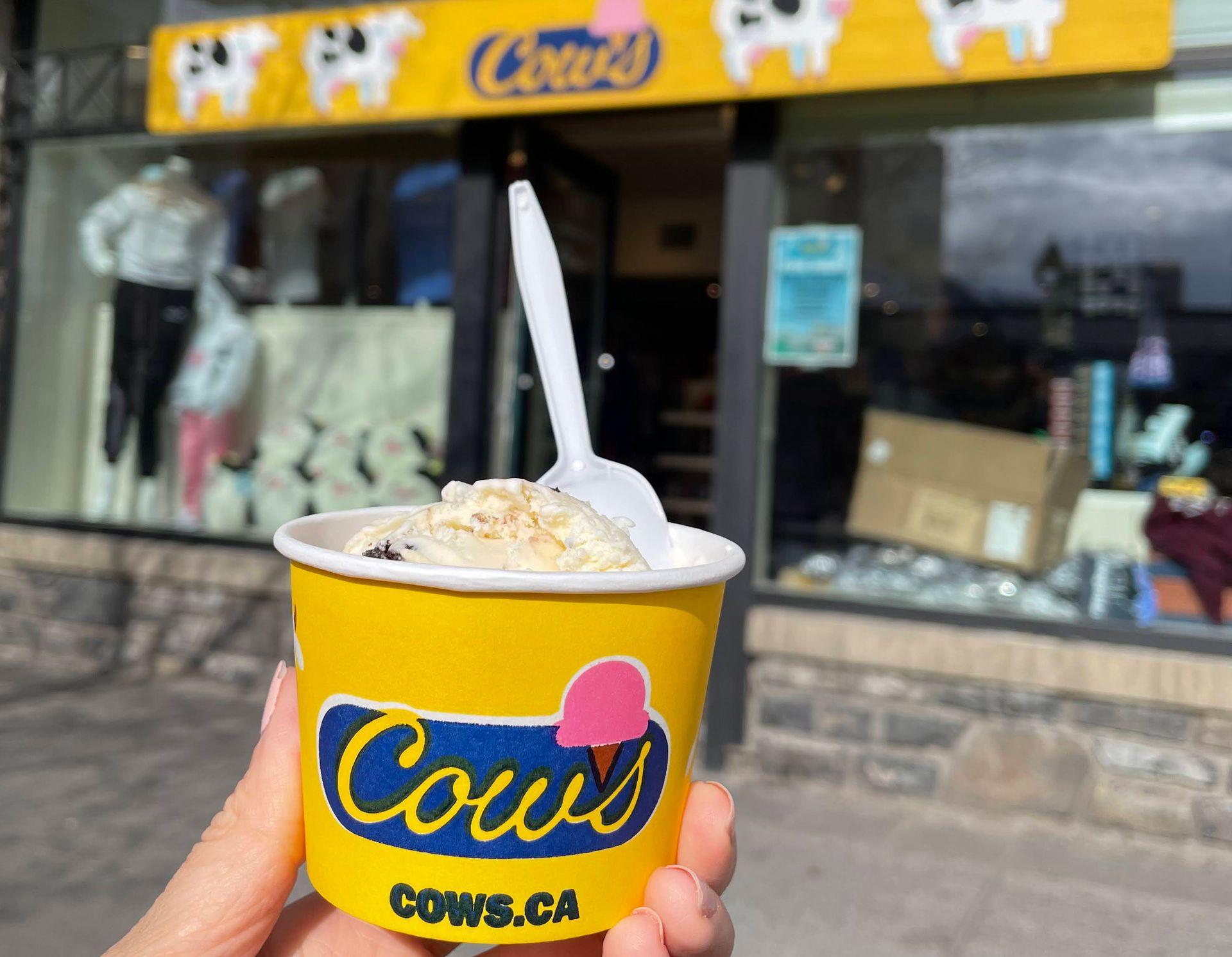 A cup of ice cream from COWS Ice Cream in Banff.