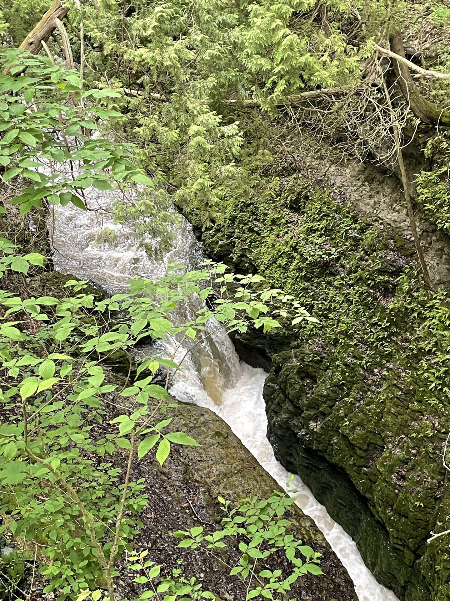Water running through the gorge in Clifton Gorge State Nature Preserve