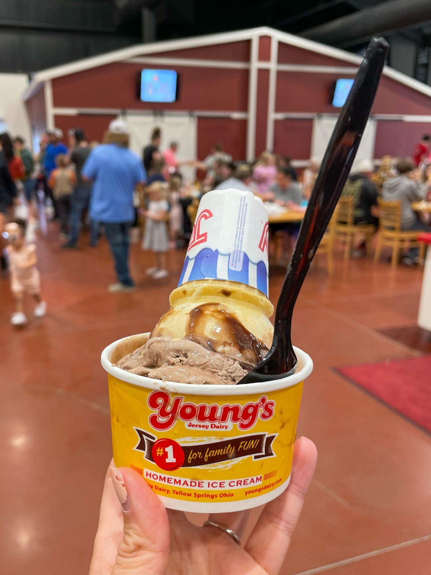 A cup of chocolate ice cream with a cone on top in Young's Jersey Dairy.