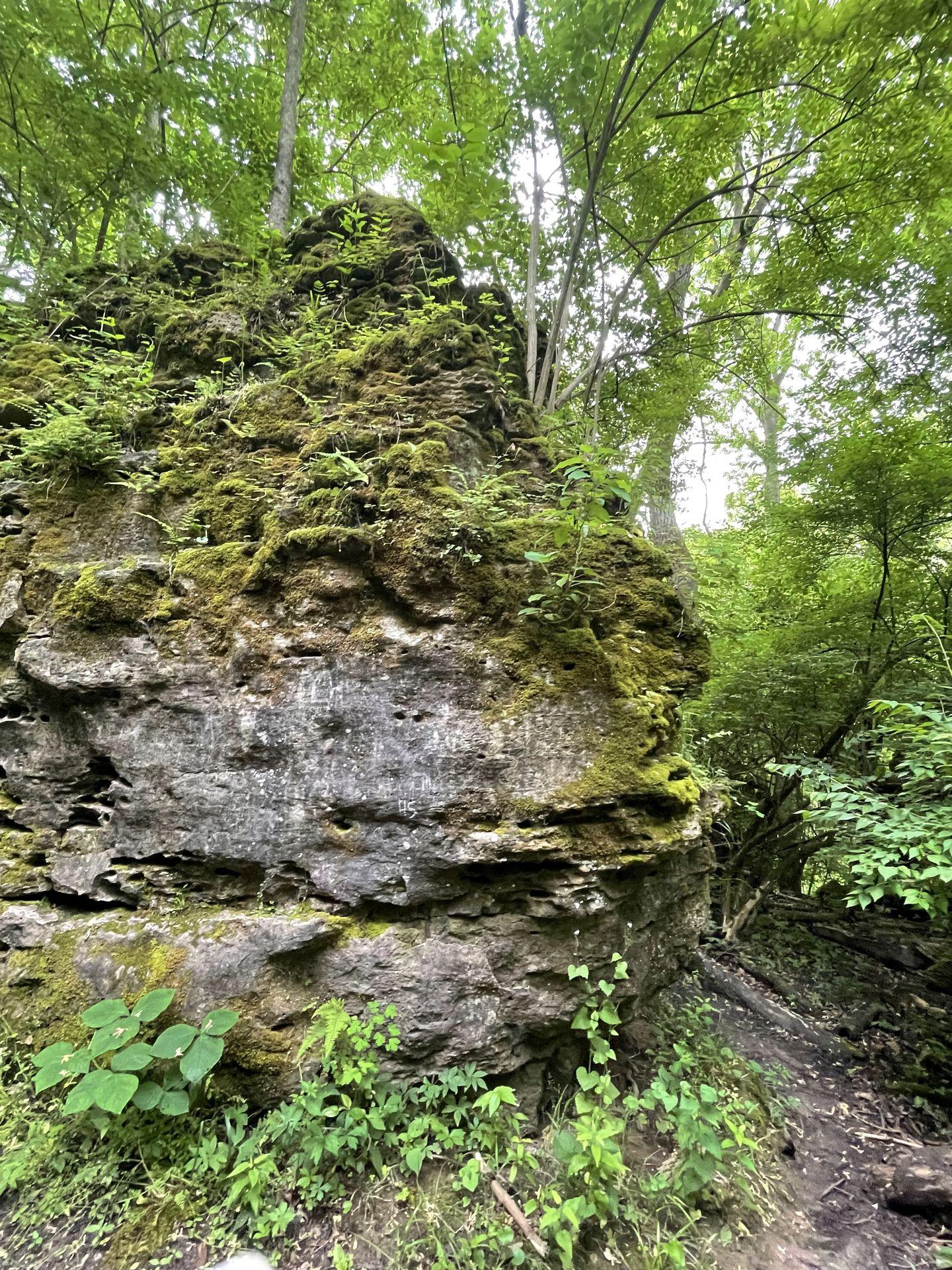Large rocks covered in greenery on a cliff in John Bryan State Park