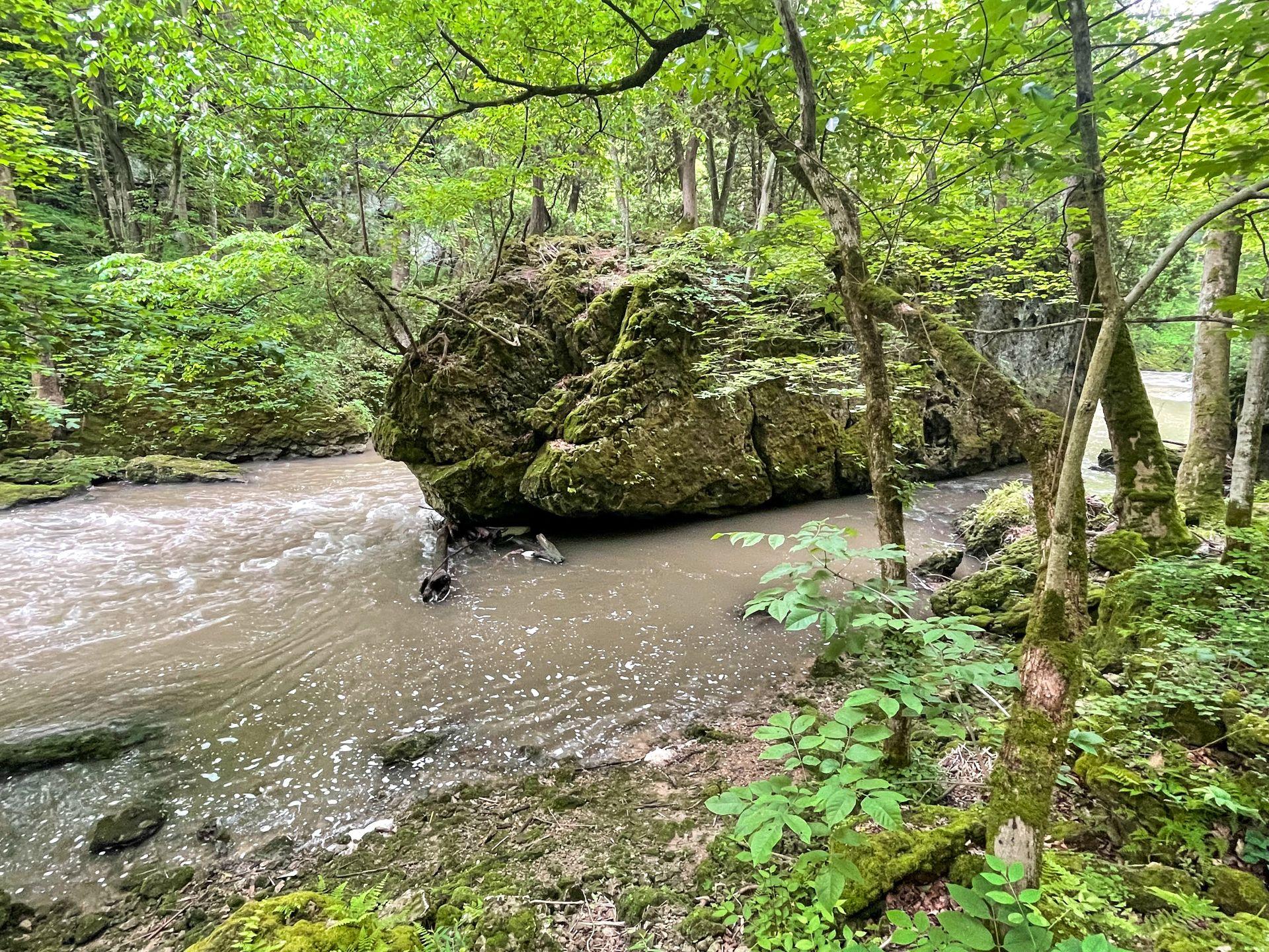 A large rock in the center of the stream in Cliton Gorge.