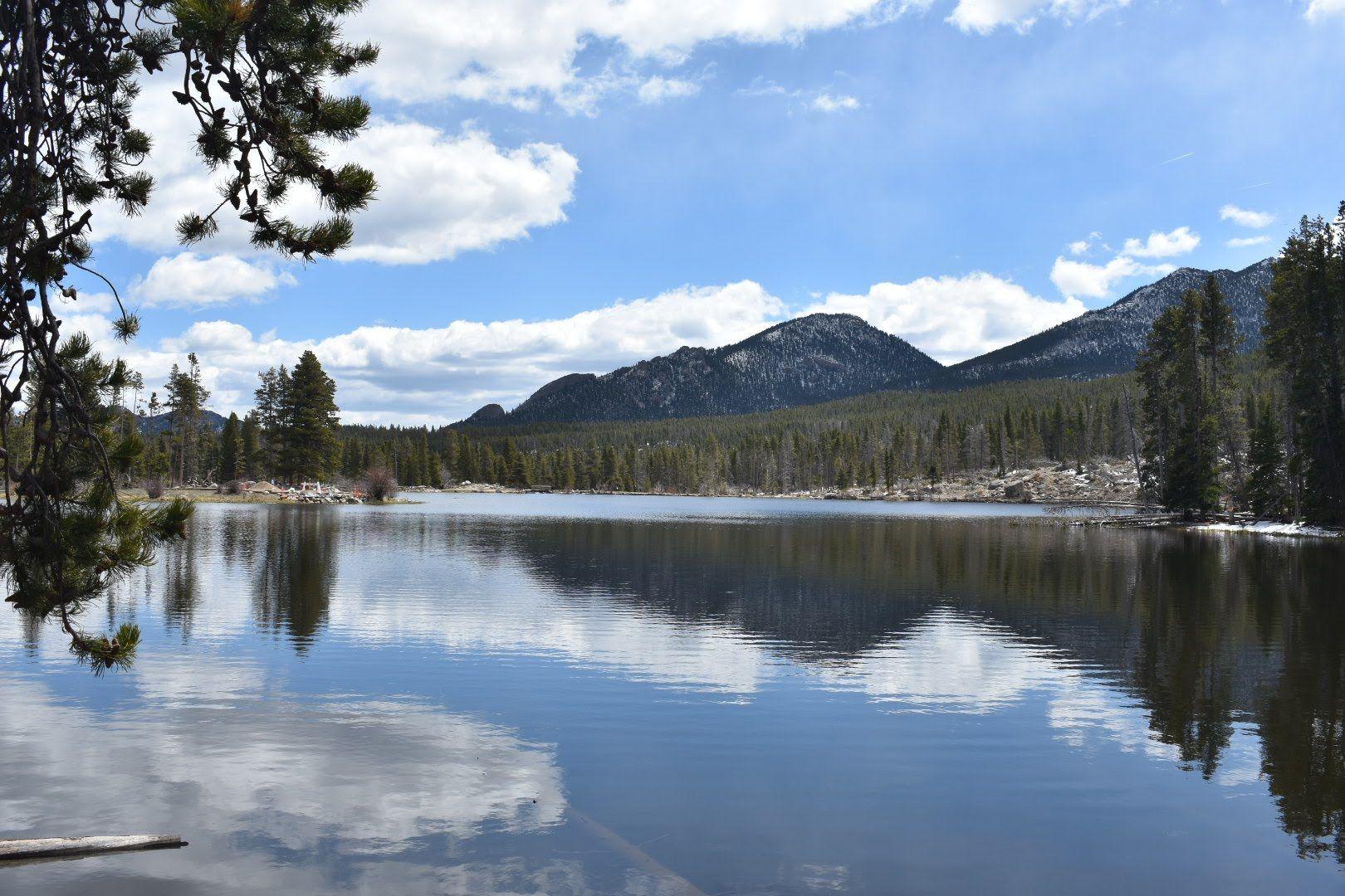 A view of Sprague Lake with a reflection of a mountain and trees.