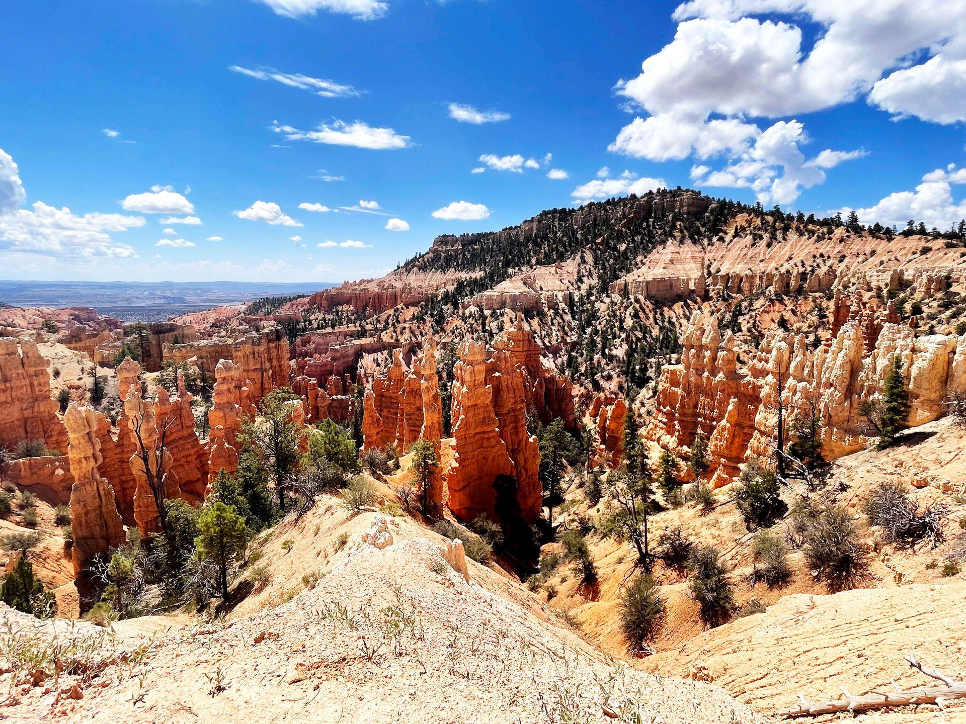 A view of orange hoodoos from the Fairyland Loop in Bryce Canyon National Park.