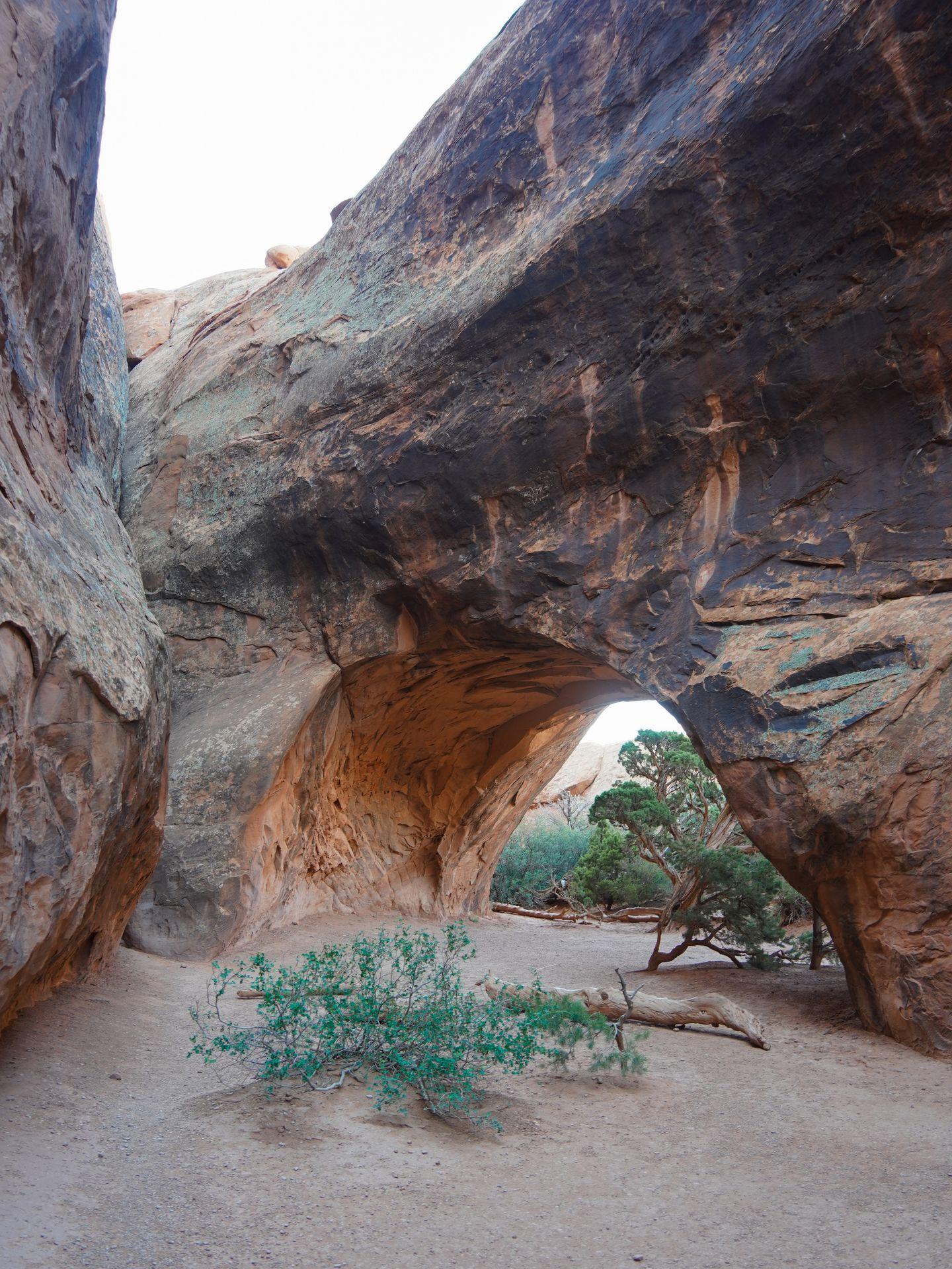 An arch with dark brown coloring and a sandy floor along the Devil's Garden trail in Arches National Park.