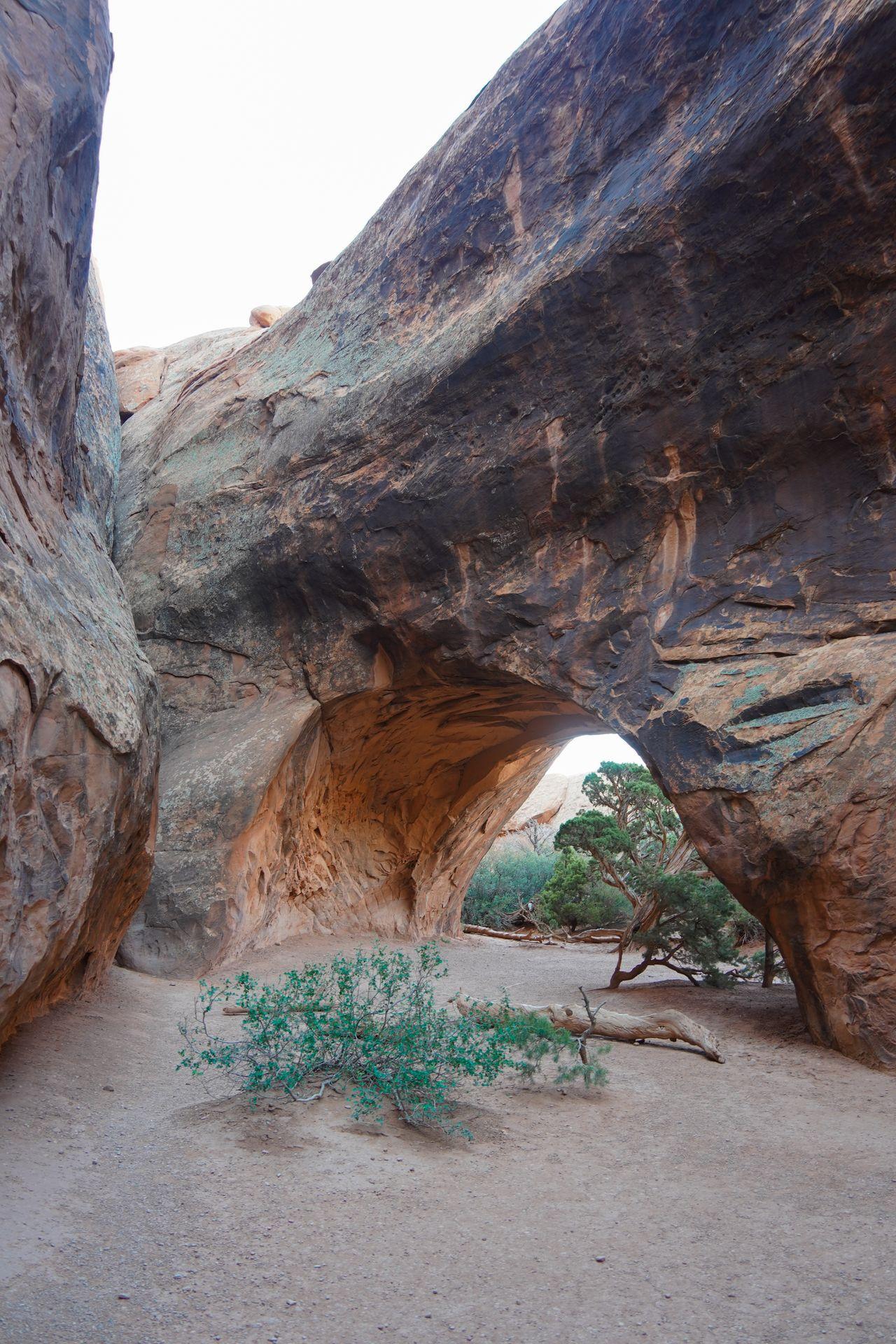 The Navajo Arch on the Devil's Garden trail. The arch is brown and the floor below is sandy