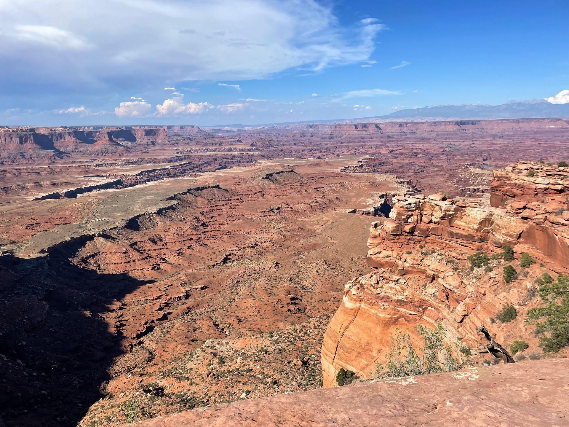 Looking out an expansive canyon from the White Rim Overlook