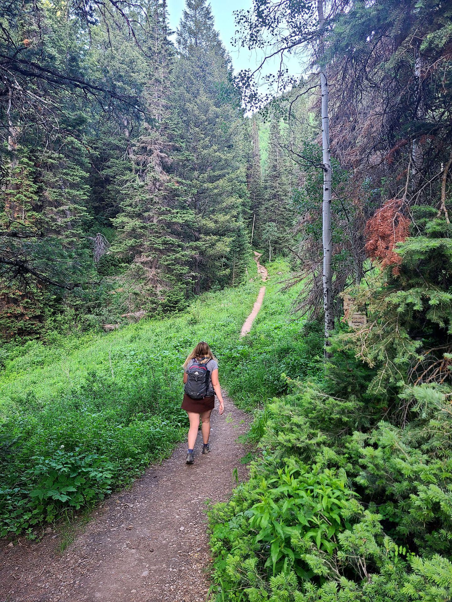 Lydia hiking through the forest on the Circle All Peaks trail.