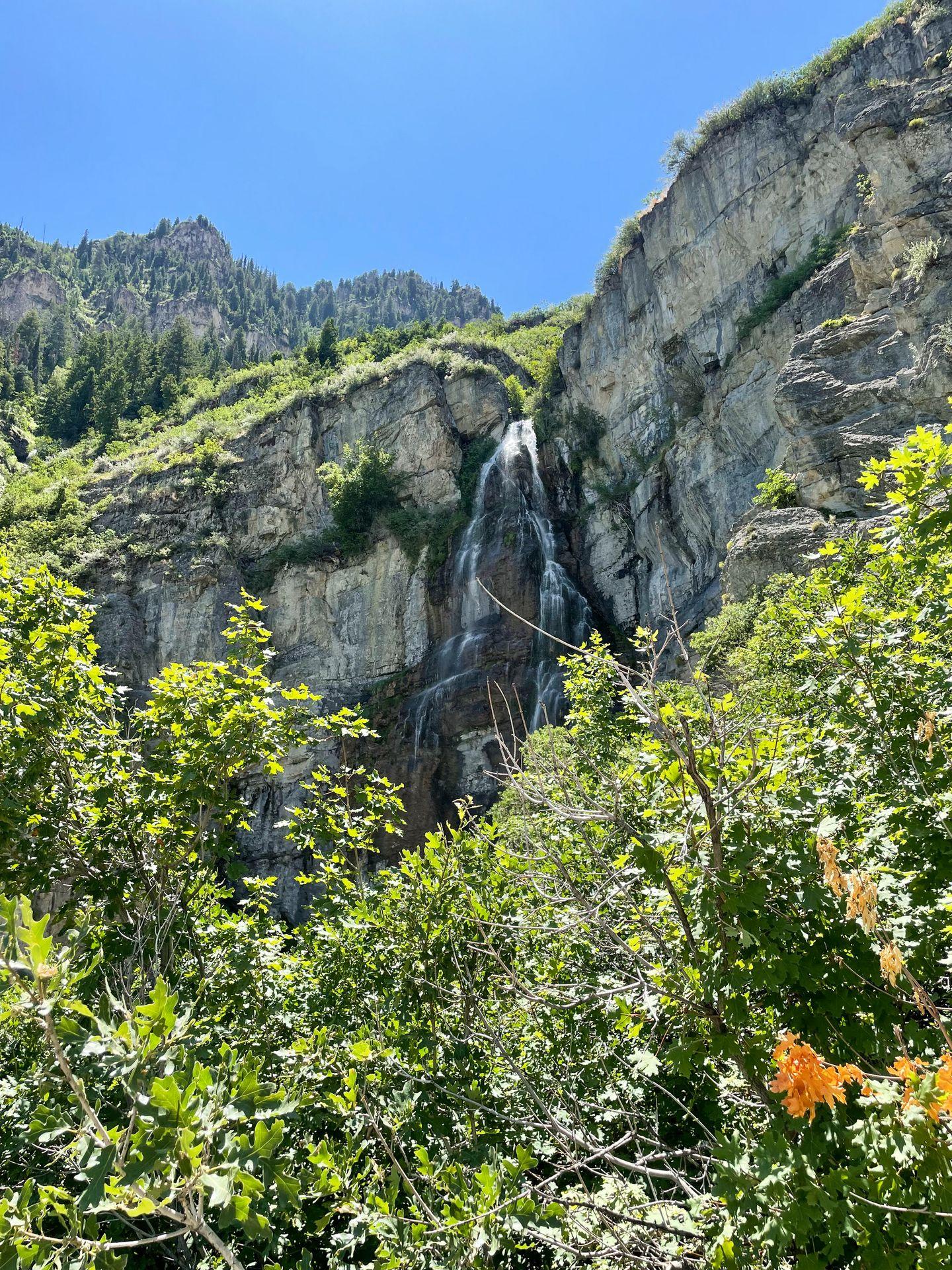 A view of the top of Stewart Falls with some trees in the foreground.