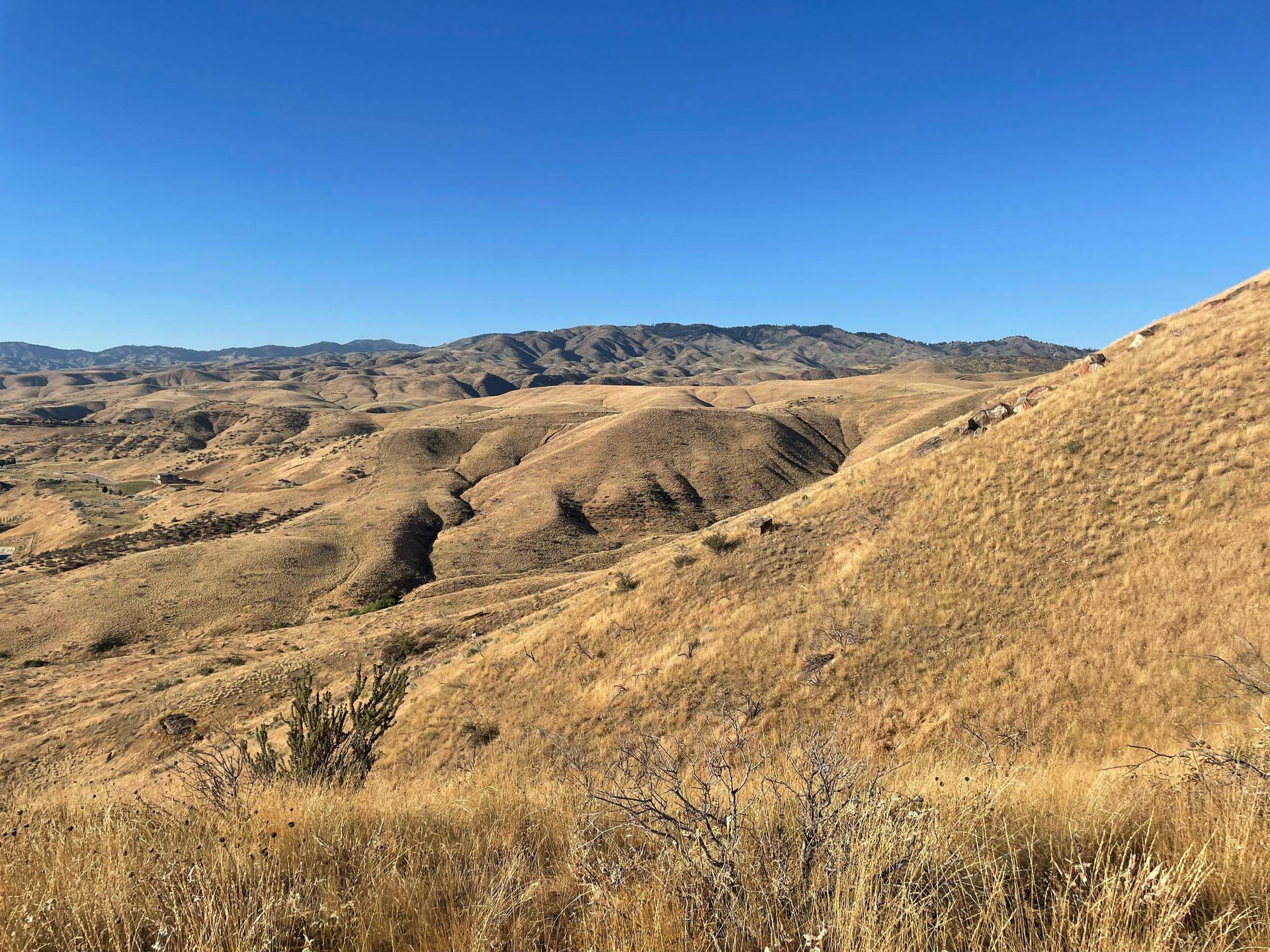 A view of yellow rolling hills from Table Rock in Boise.