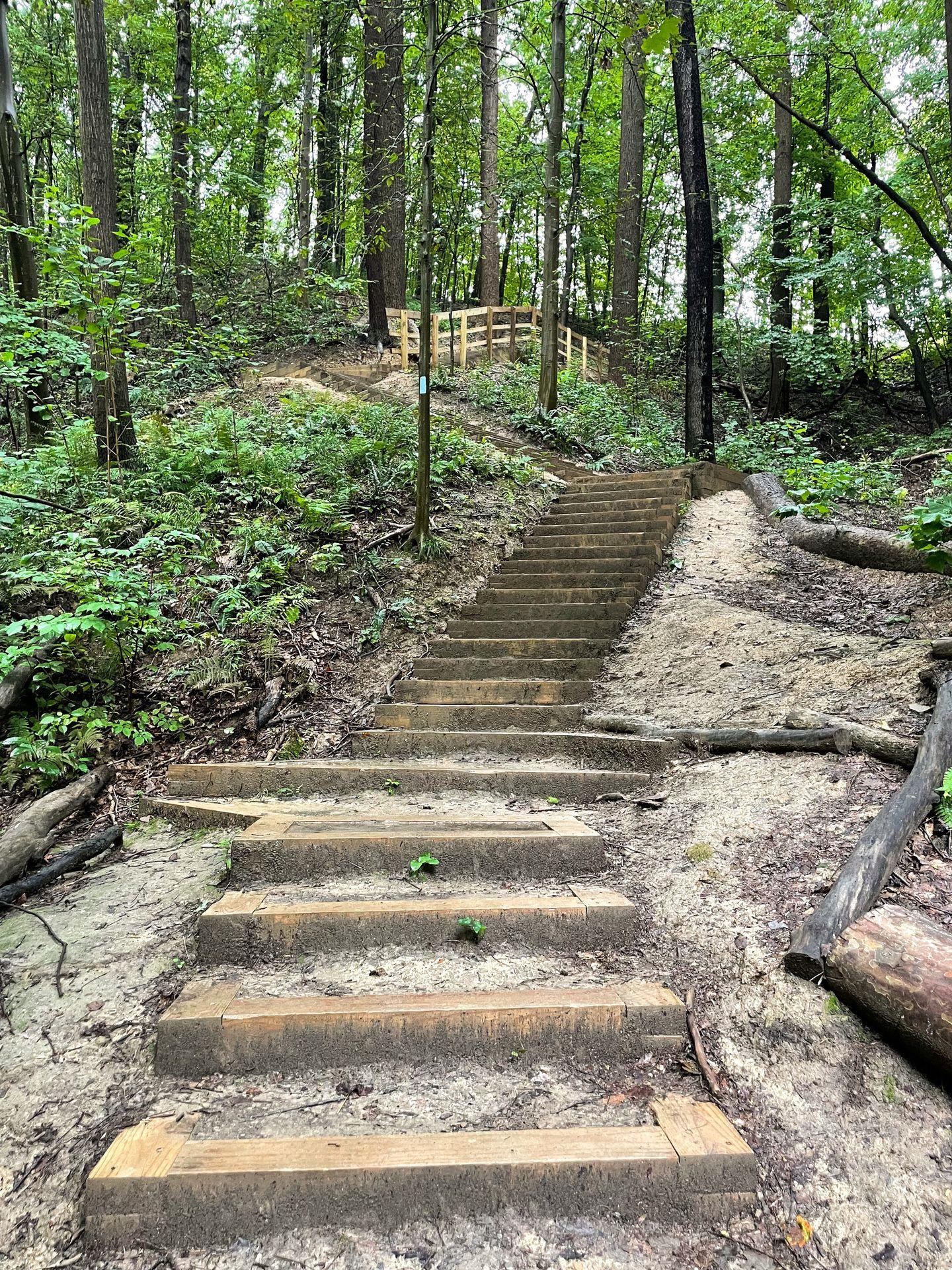 Steps on the Blue Hen Falls trail