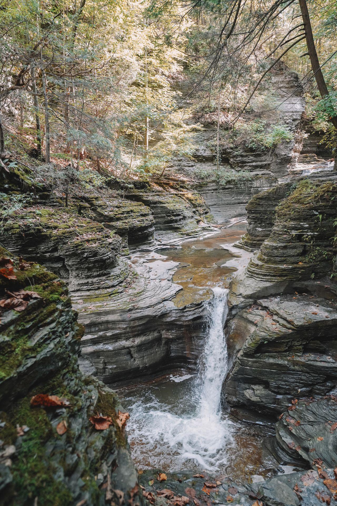 A narrow waterfall surrounded by gorge walls that are made up of many layers.