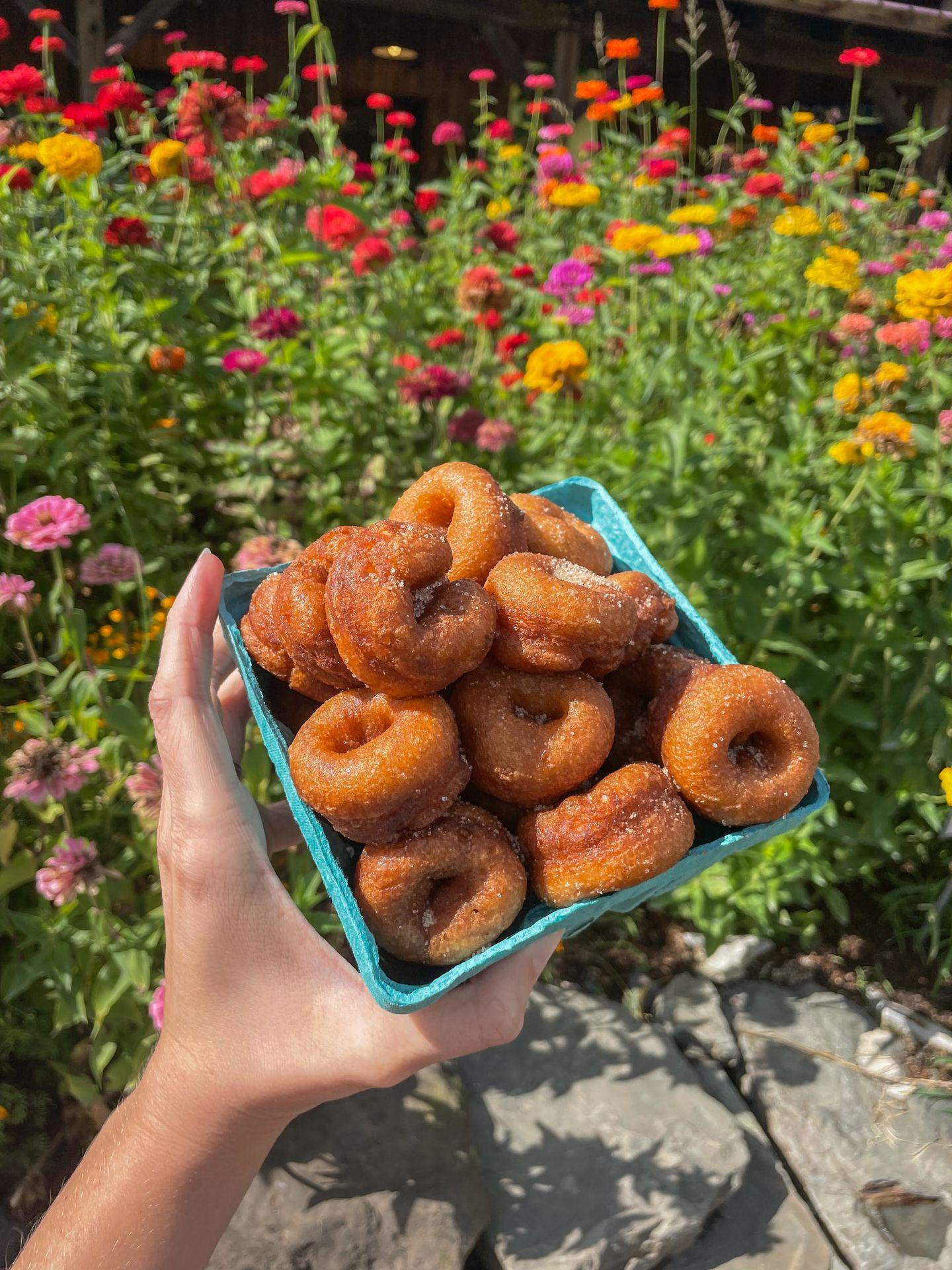 A container of small apple cider donuts from Indian Creek Farm