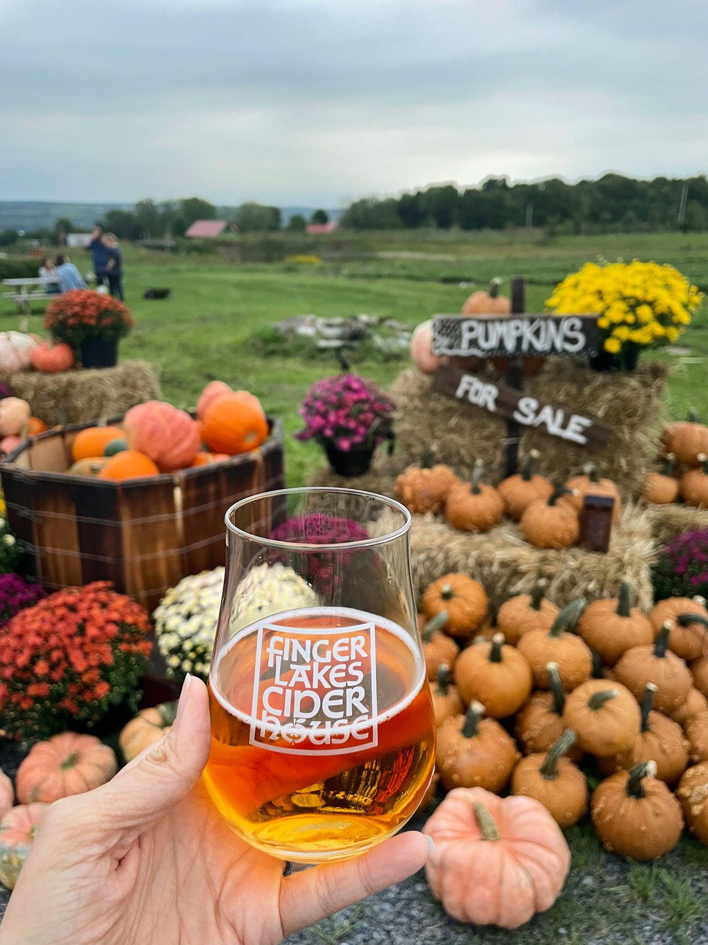 Holding up a glass is cider in front of a display with pumpkins and flowers.