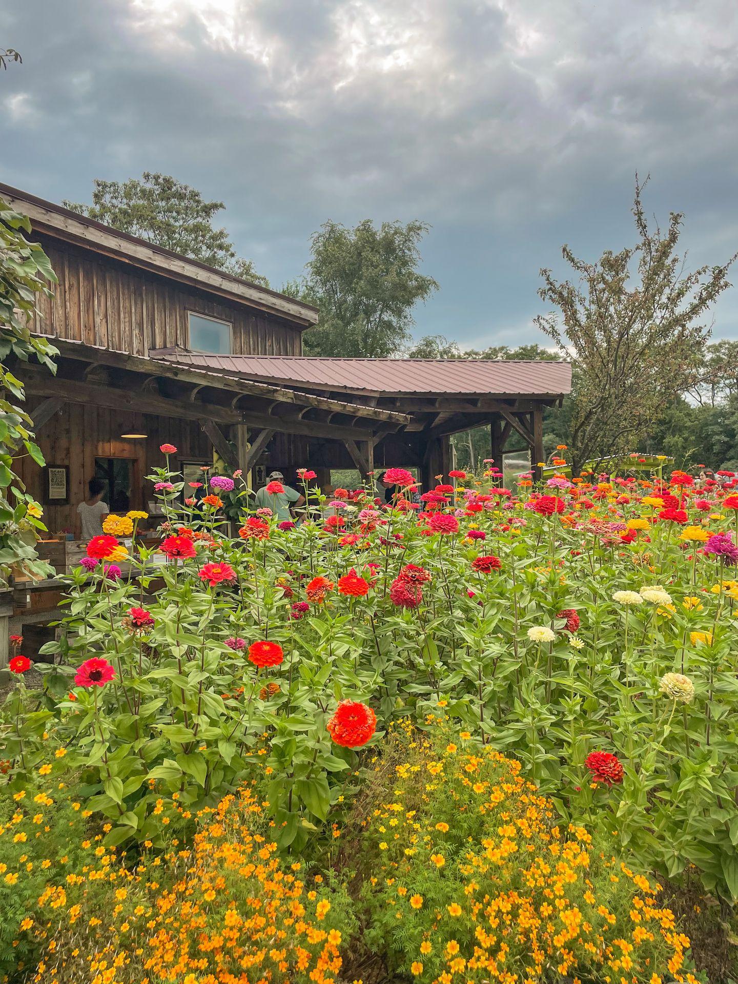 Flowers in front of a brown building at Indian Creek Farm.