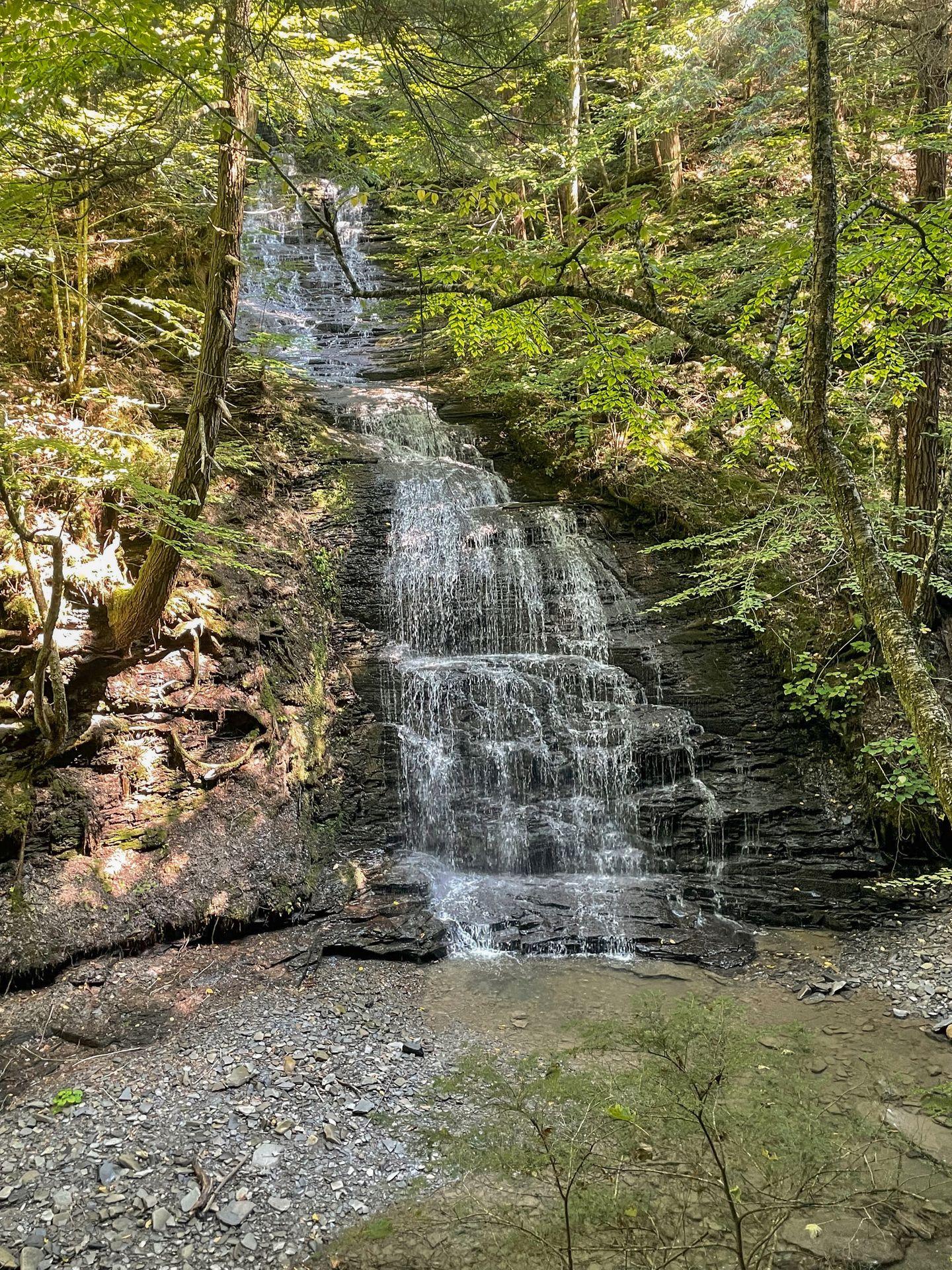 A waterfall surrounded by green trees at Fillmore Glen.