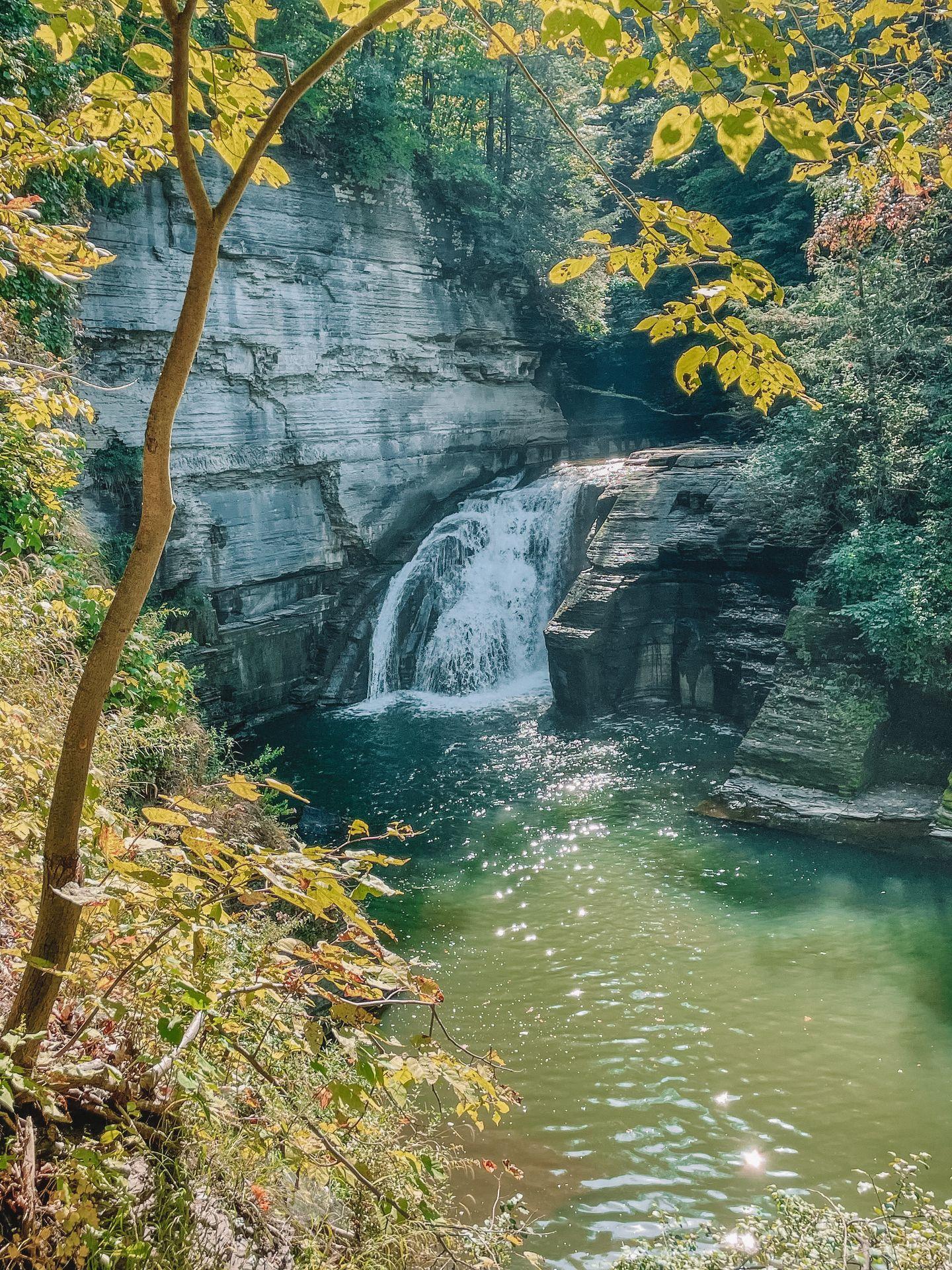 A waterfall in the distance flowing down into a pool of green water. Yellow leaves frame the photo.