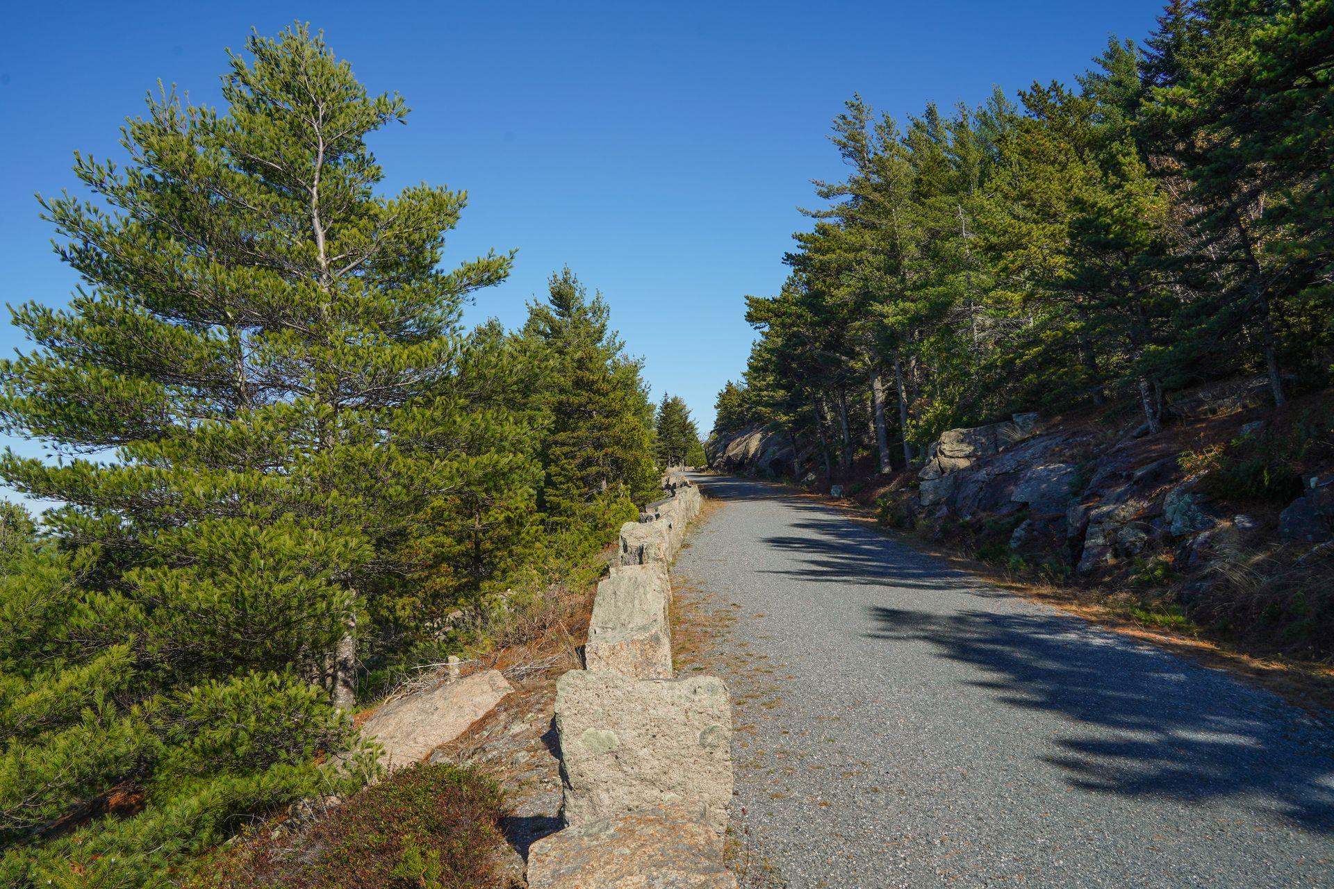 A carriage road in Acadia. The road is relatively wide, made with smooth gravel and is lined by large boulders. There are trees on either side of the path.