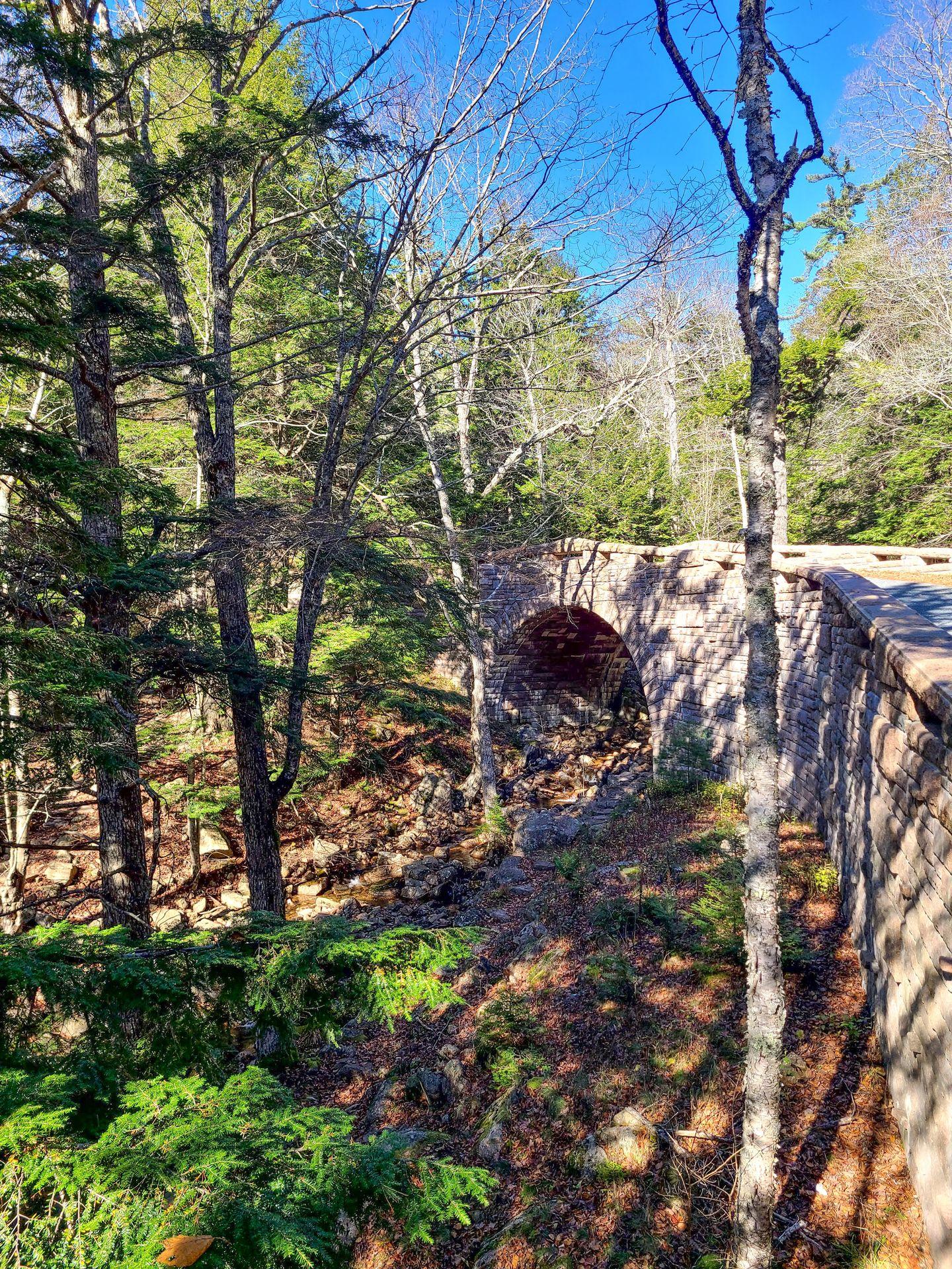A stone bridge on the Carriage Roads with trees next to the road.