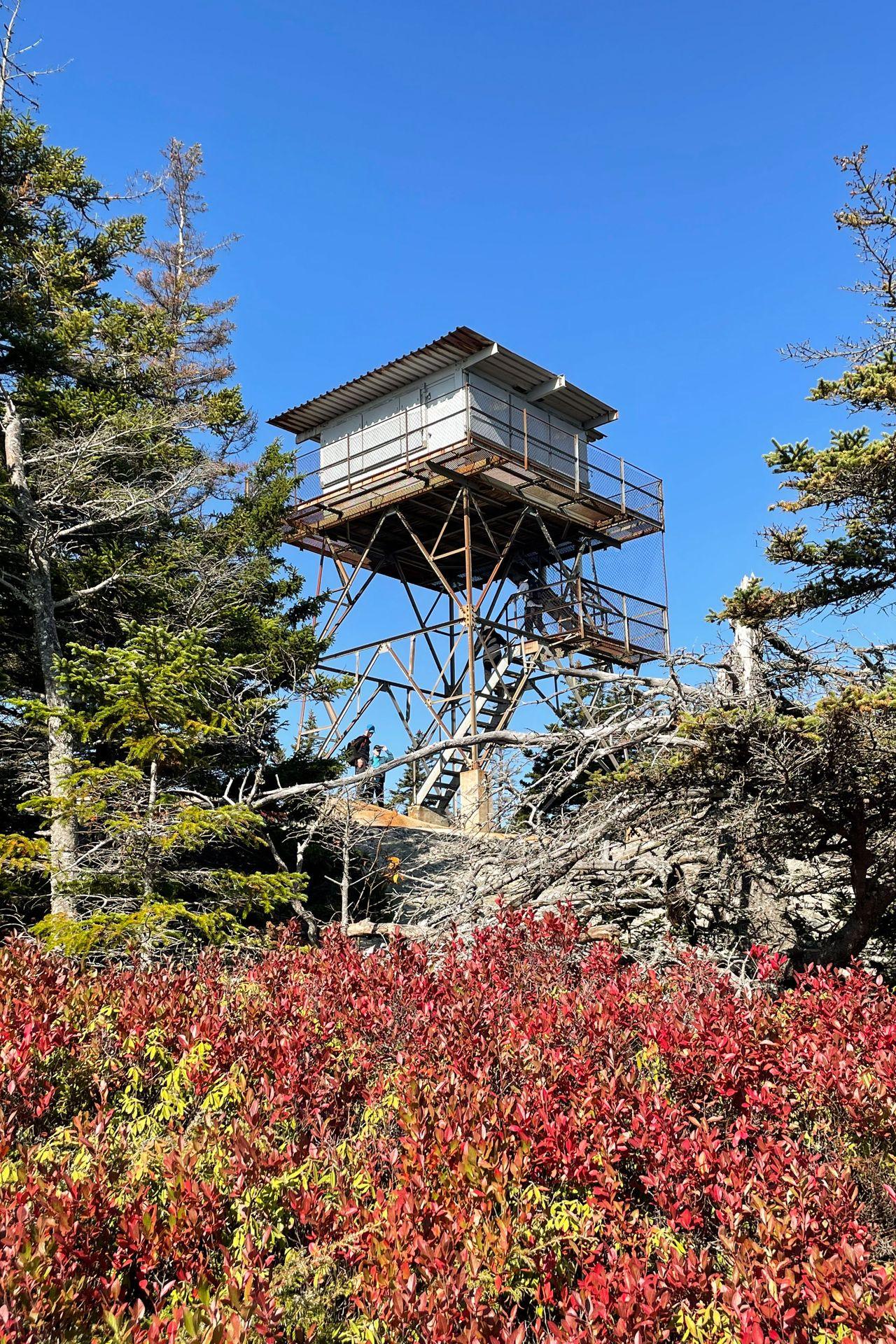 Looking at the Fire Tower with red brush in front of it.