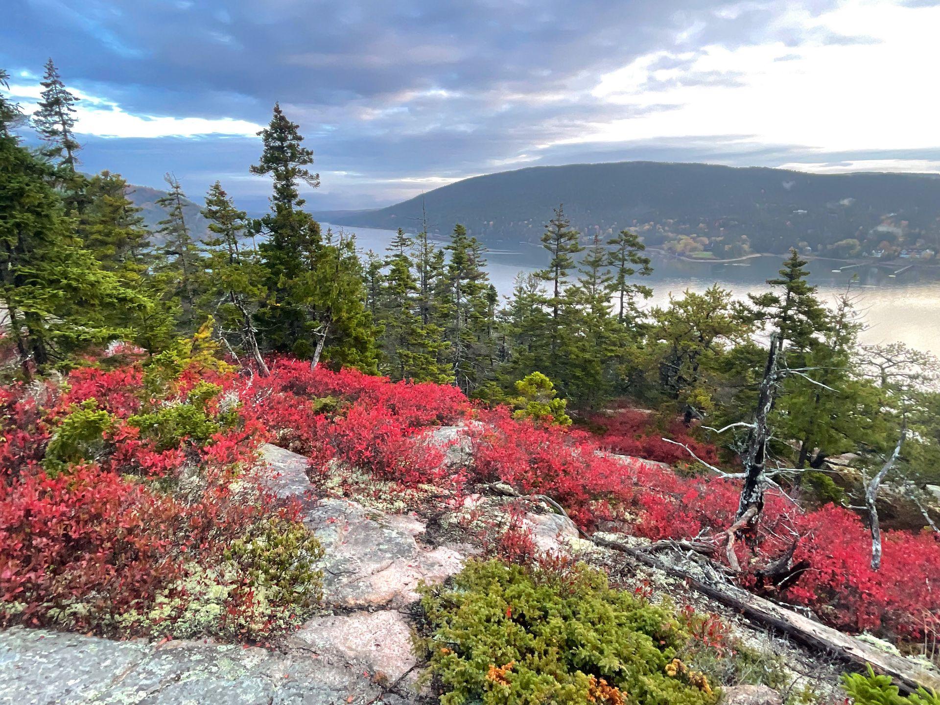 A view of red foliage and water in the distance on the Flying Mountain trail
