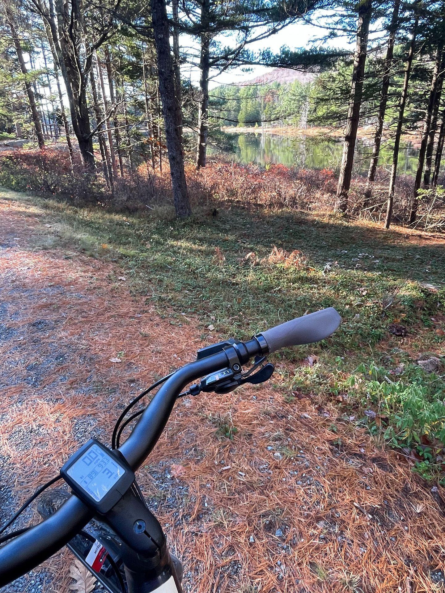 A close up view to the handlebars of an e-bike. The bike is next to some trees and a pond.