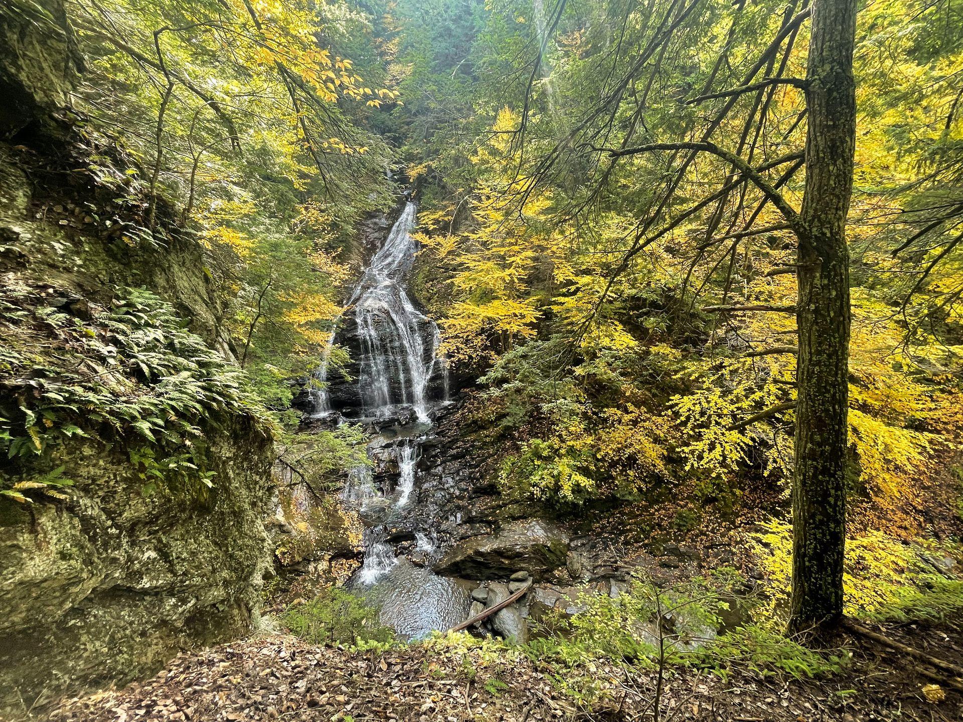 A small waterfall surrounded by trees and bits of yellow foliage.
