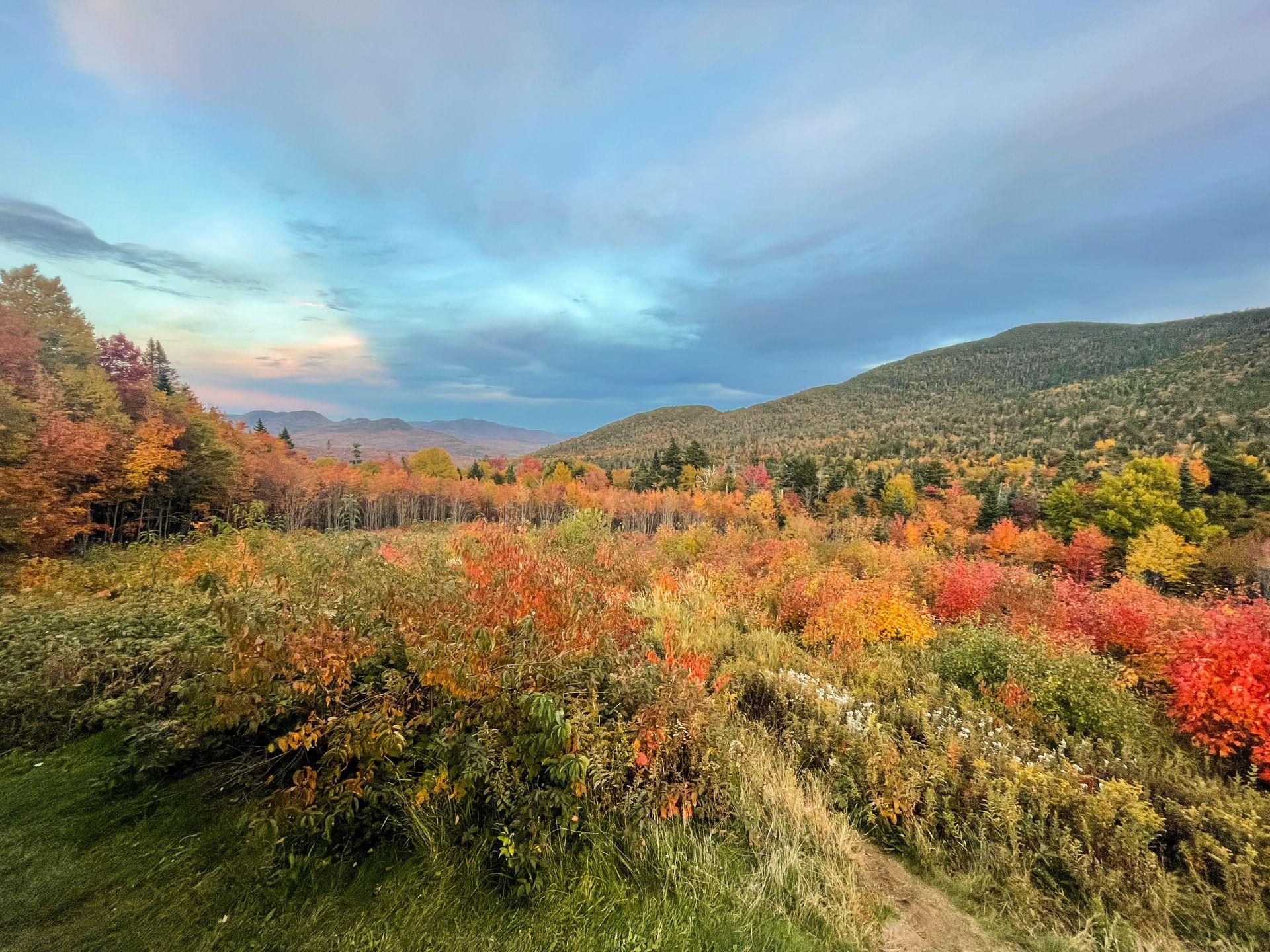 An overlook with a view of colorful fall foliage along the Kancamagus Highway