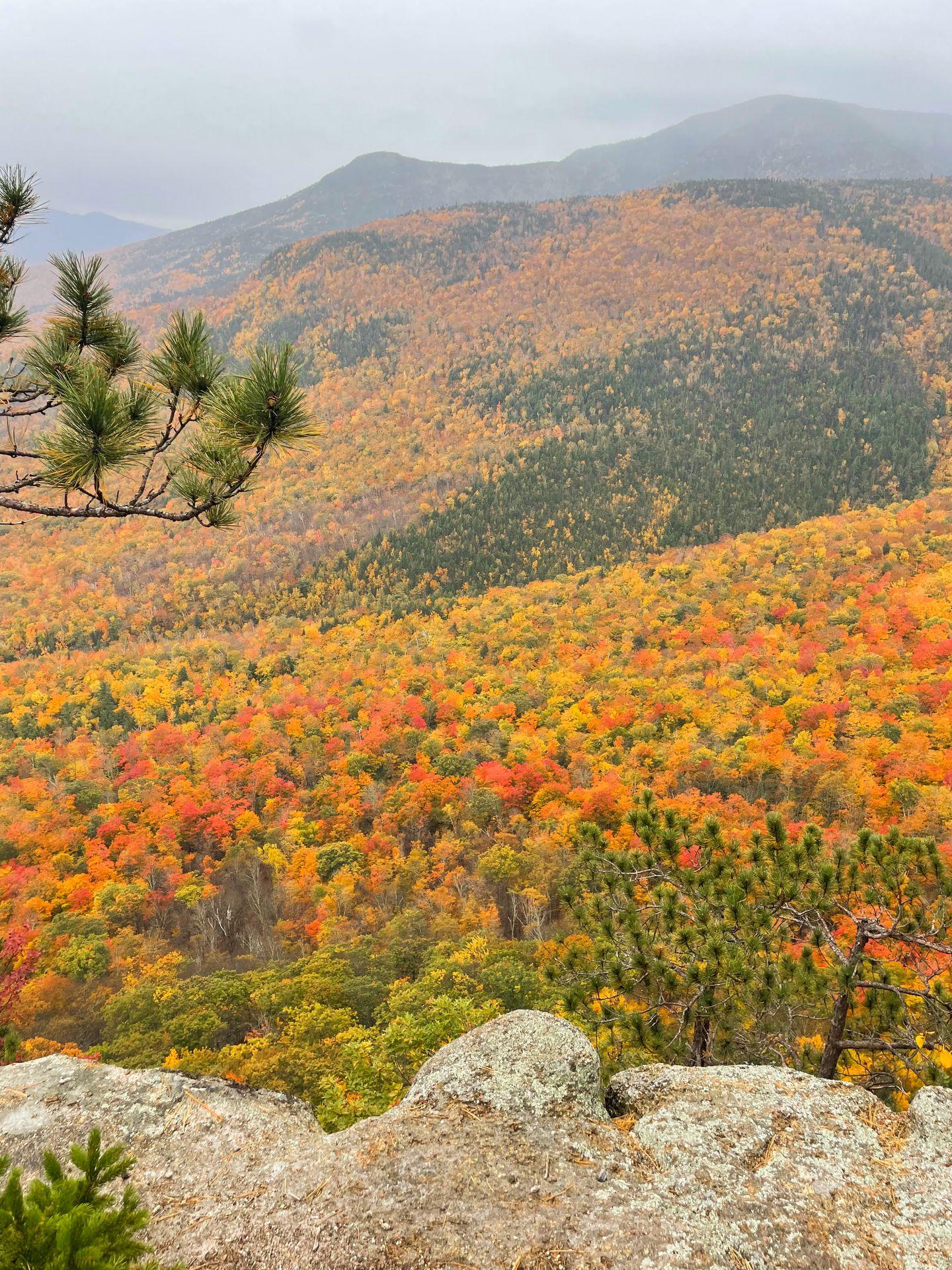 A view of colorful fall foliage from the Frankenstein Cliffs trail on a rainy day