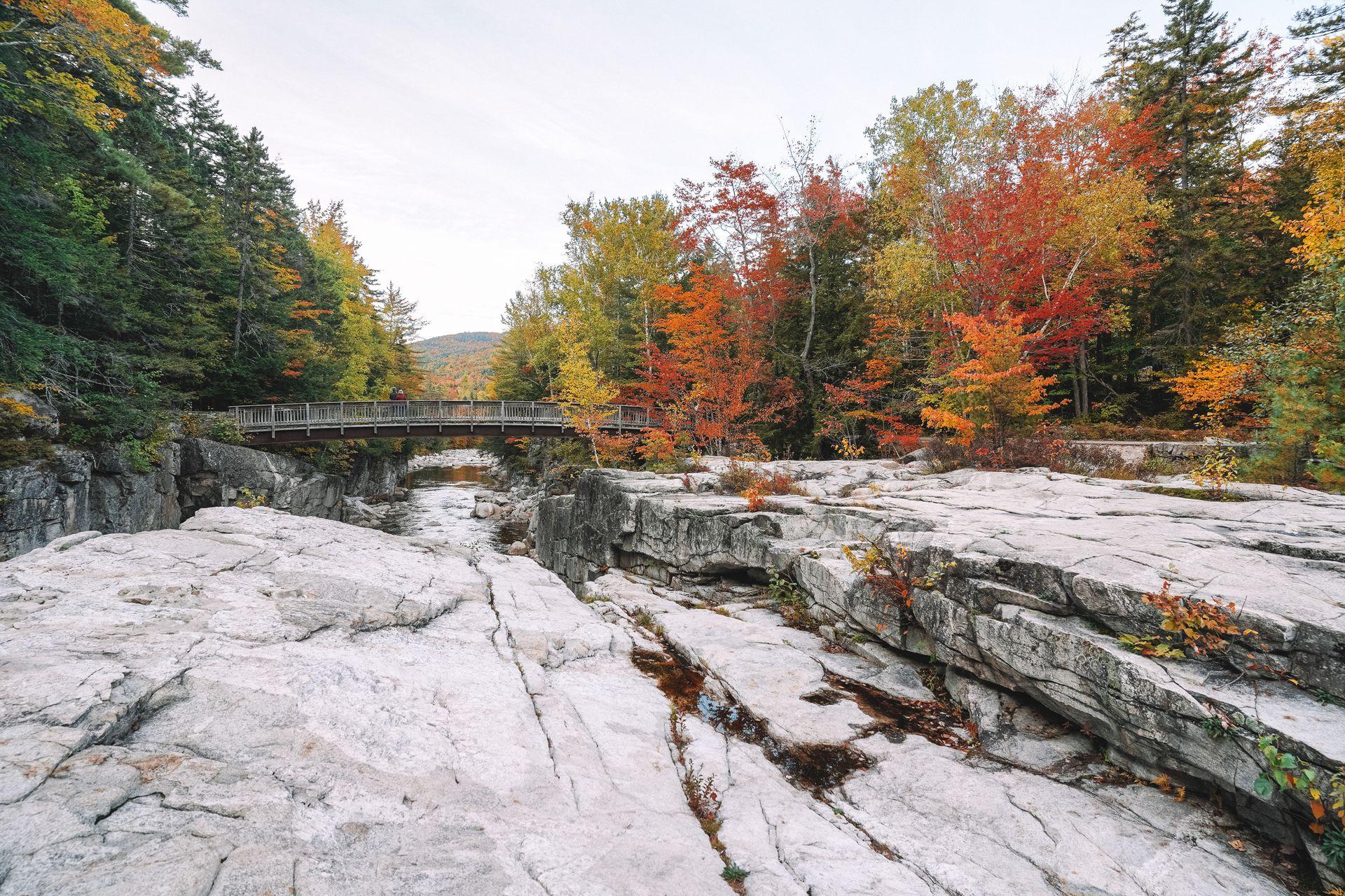 A gorge area with a bridge that is surrounded by colorful trees and fall foliage.
