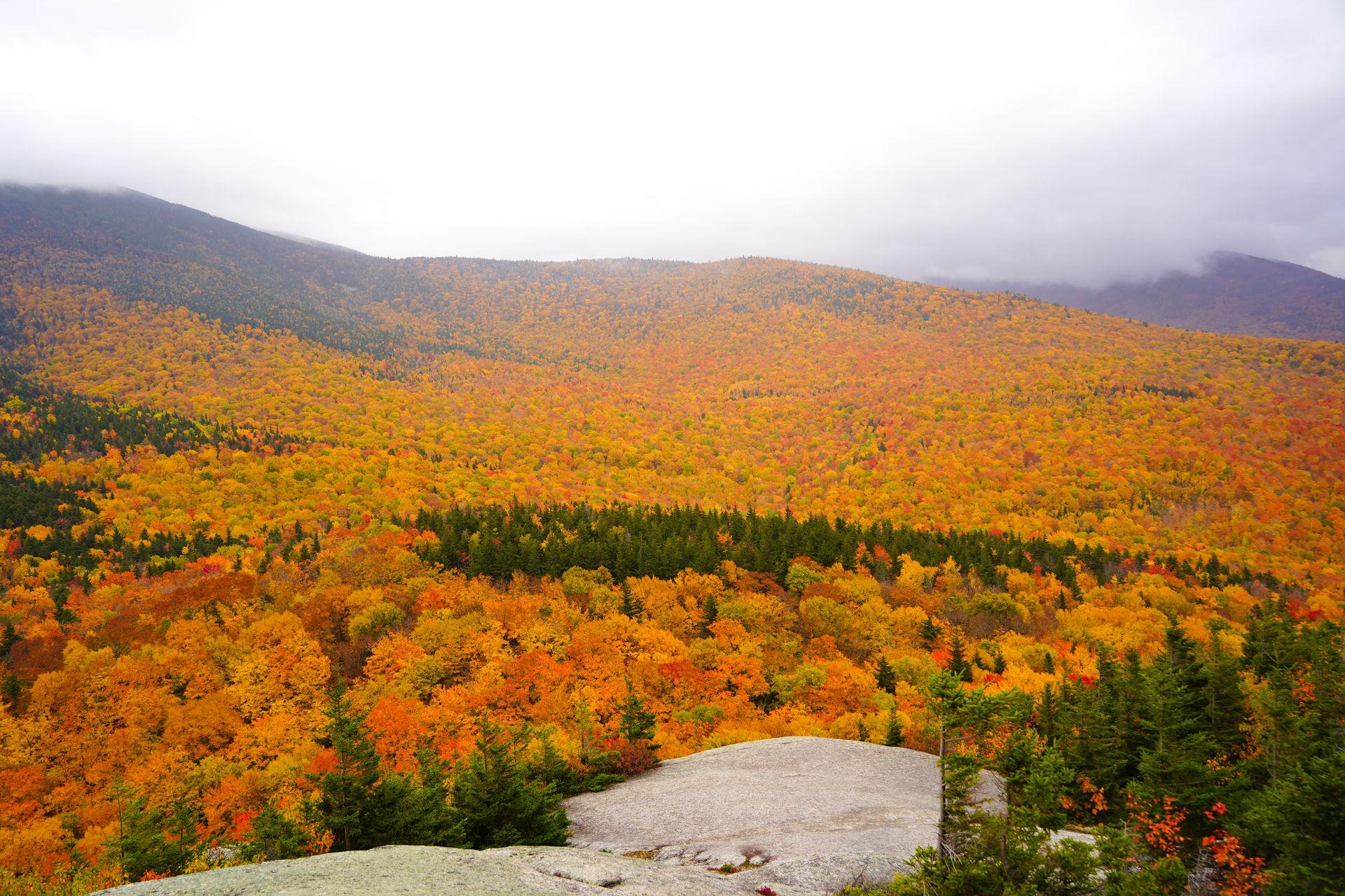 An expansive view of bright orange foliage from the North and Middle Sugarloaf Peaks Trail