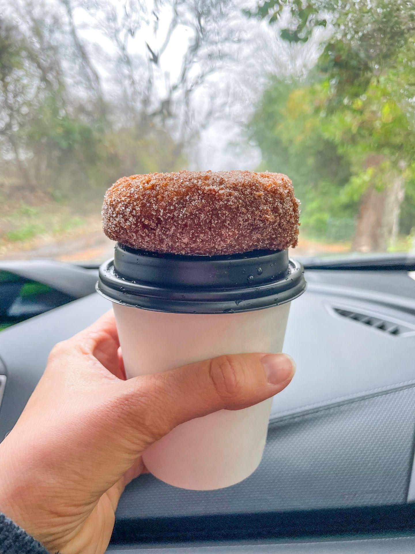 An apple cider donut sitting on top of a to-go mug full of hot apple cider.