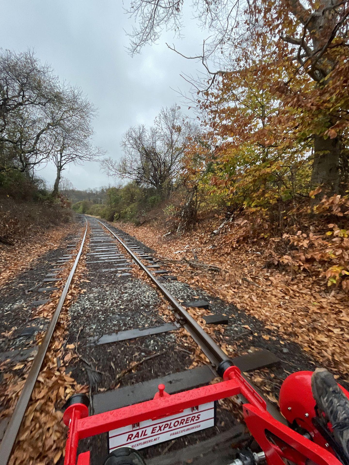 A view of the front of the rail explorers bike. Several fallen leaves are surrounding the tracks.