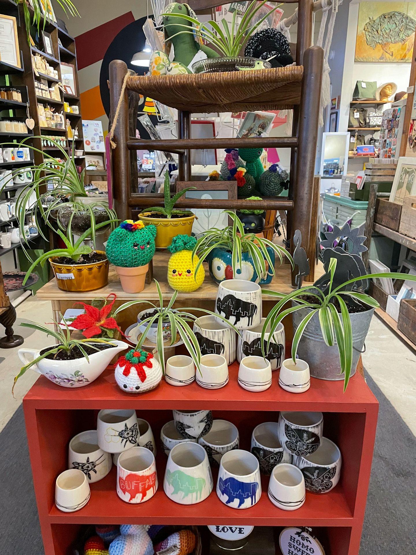 A red shelf full of mugs and a few plants inside of Buffalo ShopCraft.