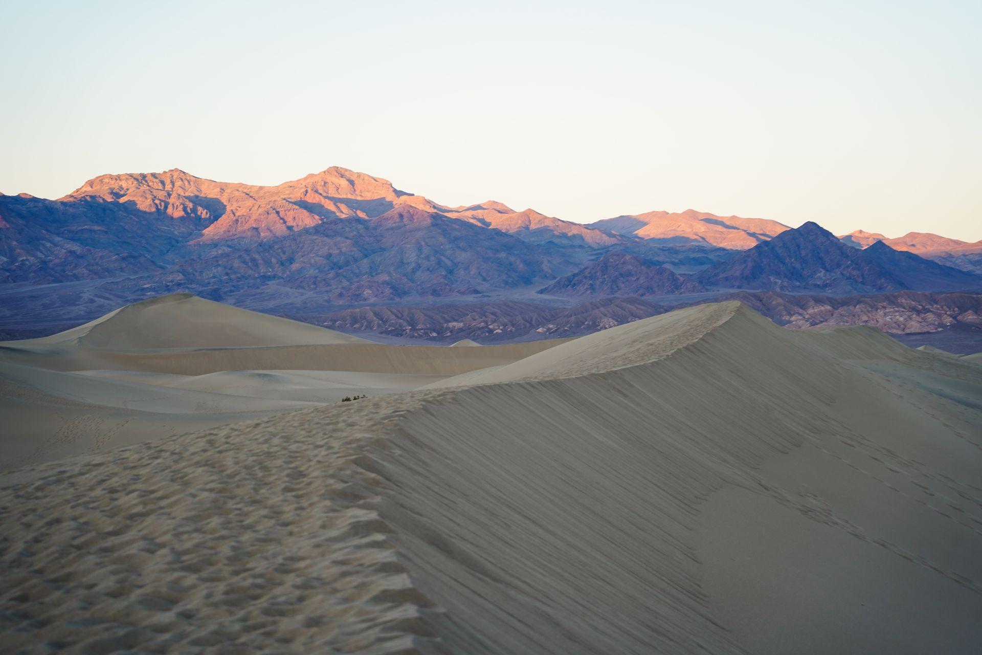 A view of the Mesquite Flat Sand Dunes near sunset. The mountain in the distance glow pink.