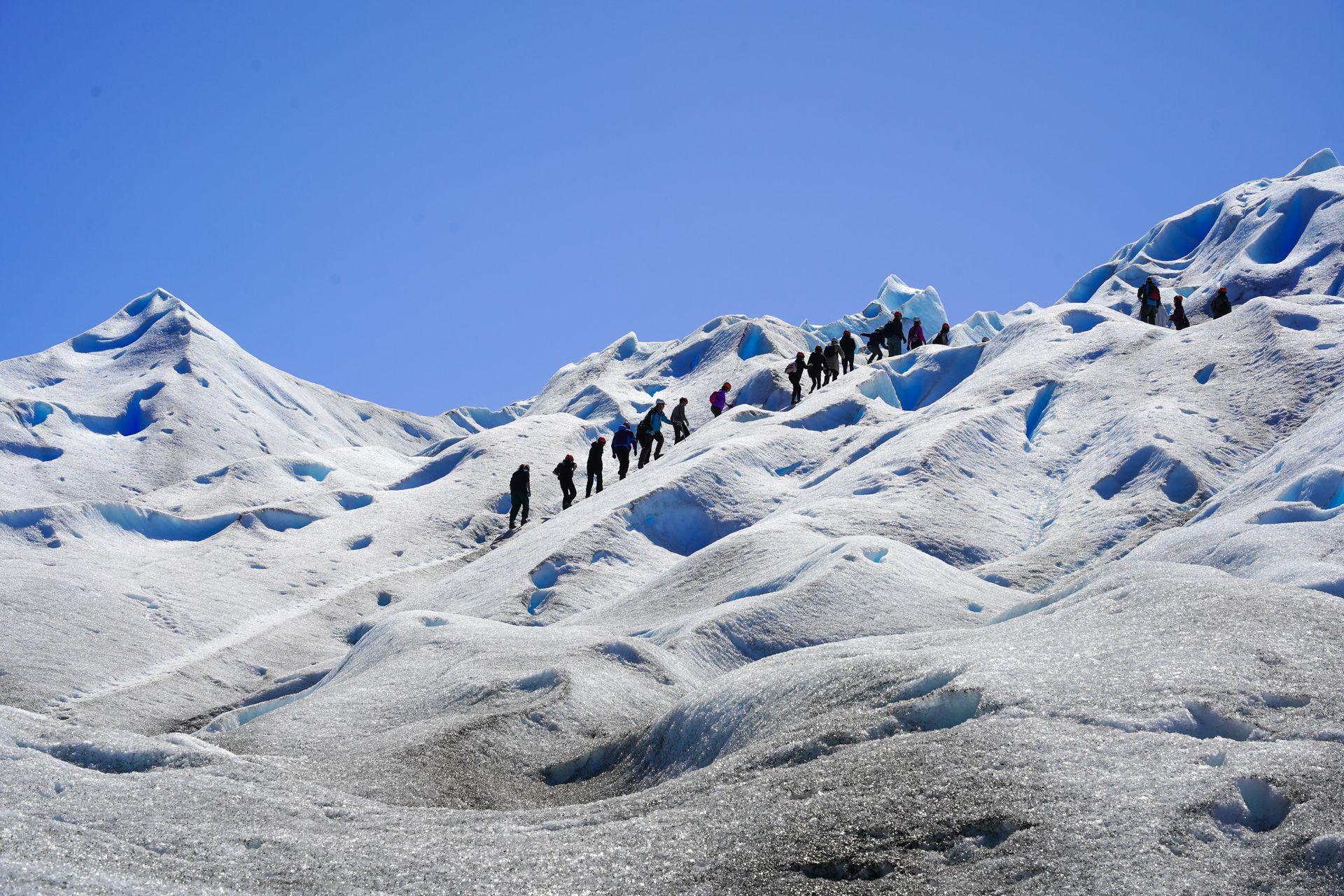 A line of people hiking straight up a ridge of ice on the Perito Moreno Glacier.