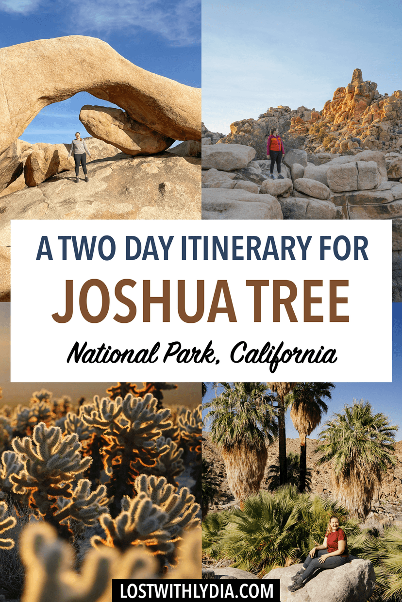 Learn how to spend two days in Joshua Tree National Park with this guide! Discover the best hikes in Joshua Tree and plan a perfect weekend in Joshua Tree.