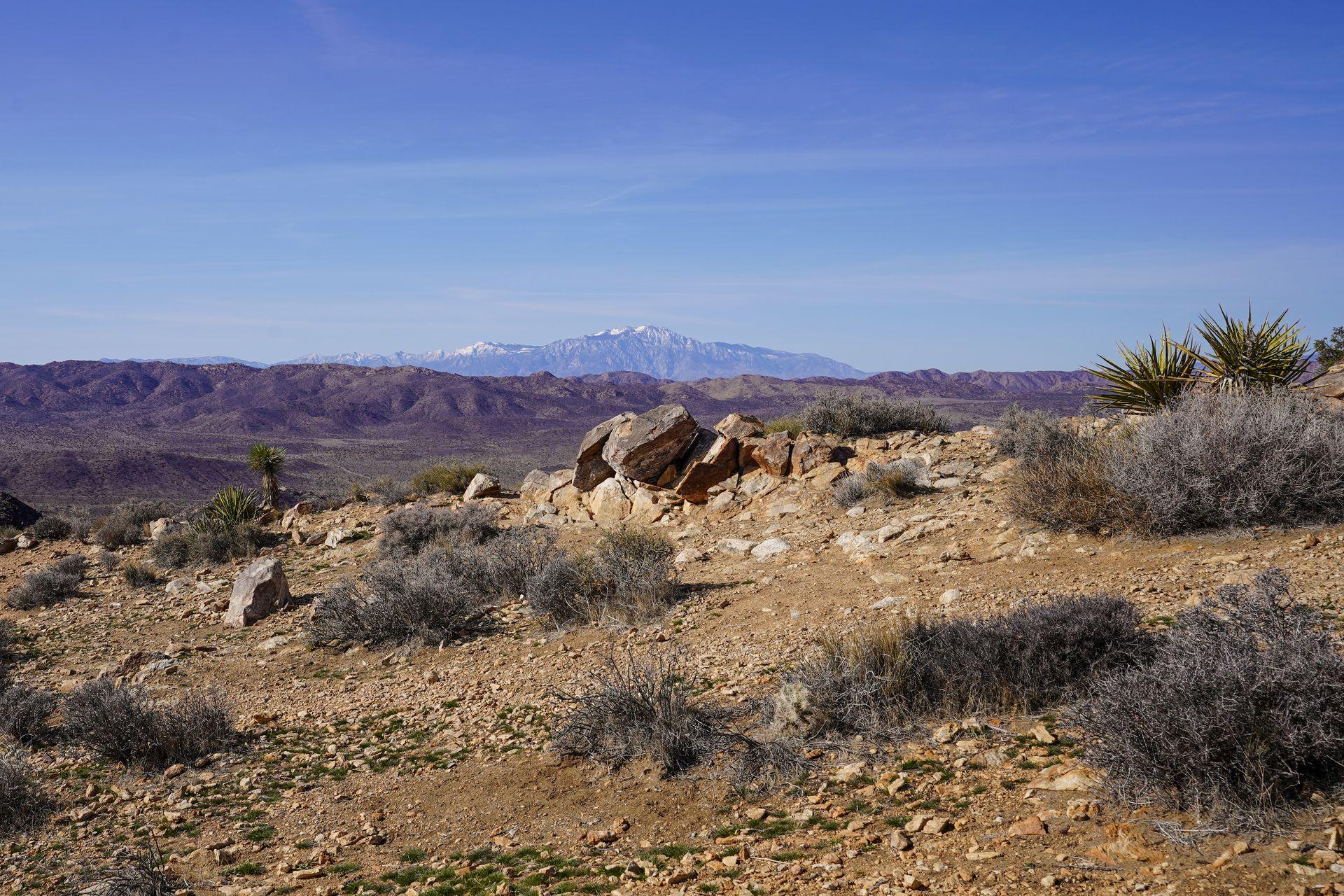 A rocky, desert view with a snowy mountain in the distance.