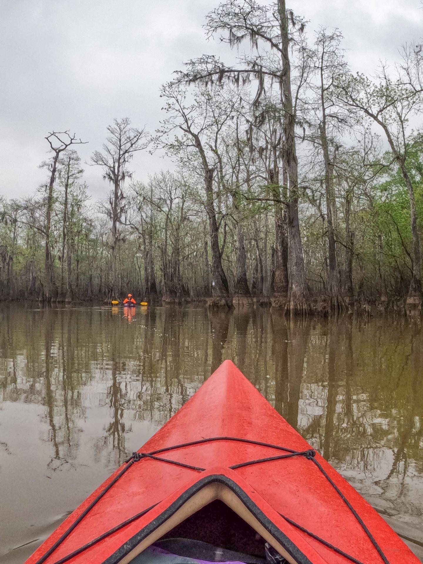 Looking out at water and trees from the front of a kayak.