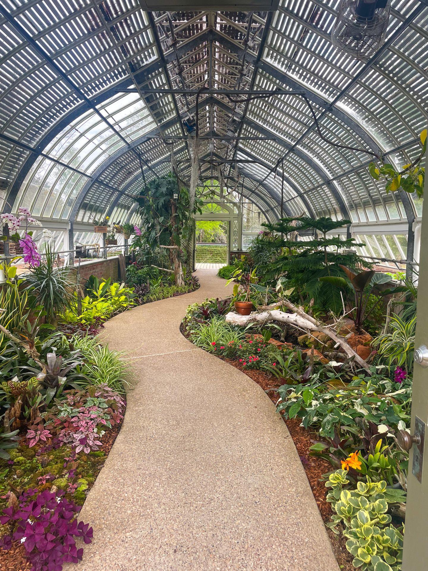 A pathway surrounded by flowers and greenery inside of a greenhouse at the Shangri La Botanical Gardens