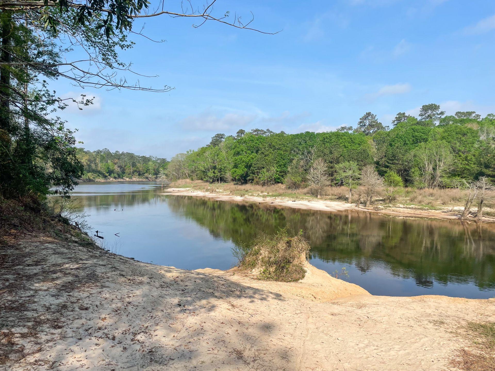 A river surrounded by a sandy shore at Village Creek State Park