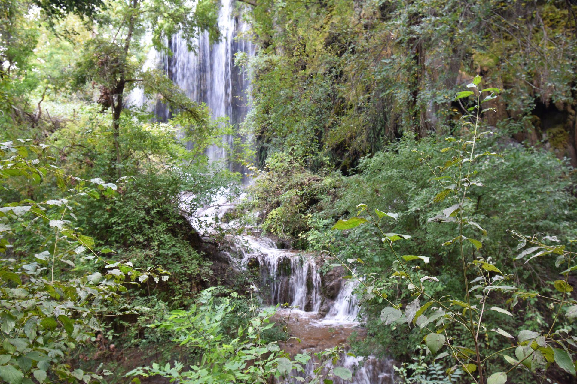 A waterfall seen through an area of greenery and trees.