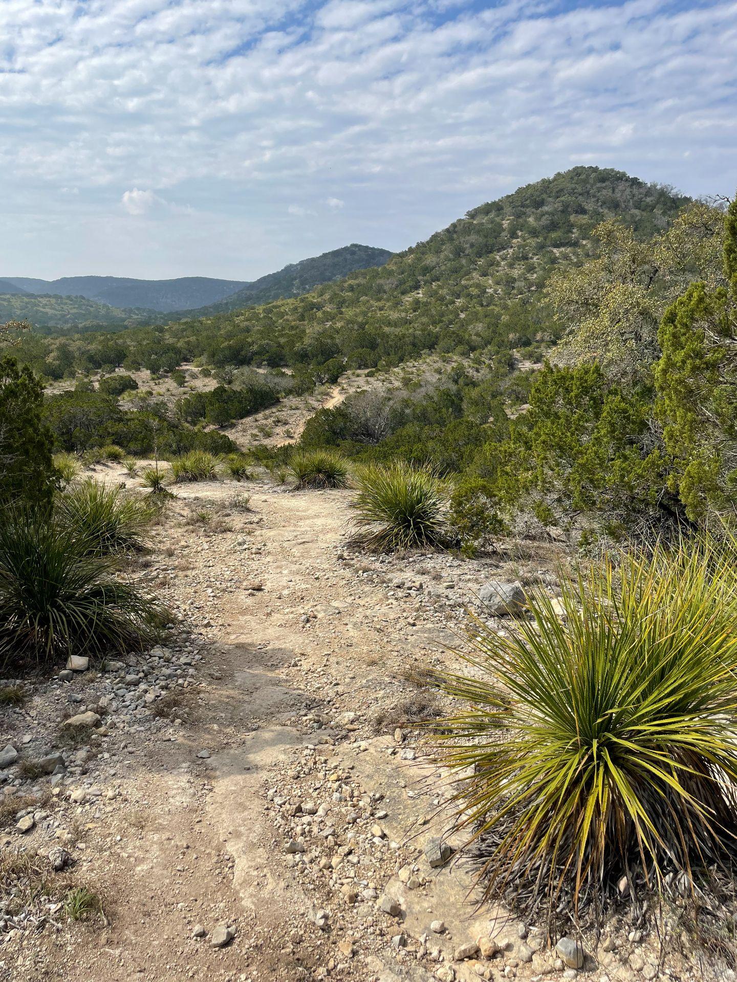 A trail next to a couple of tall, green hills. A green desert plant is in the bottom right corner.