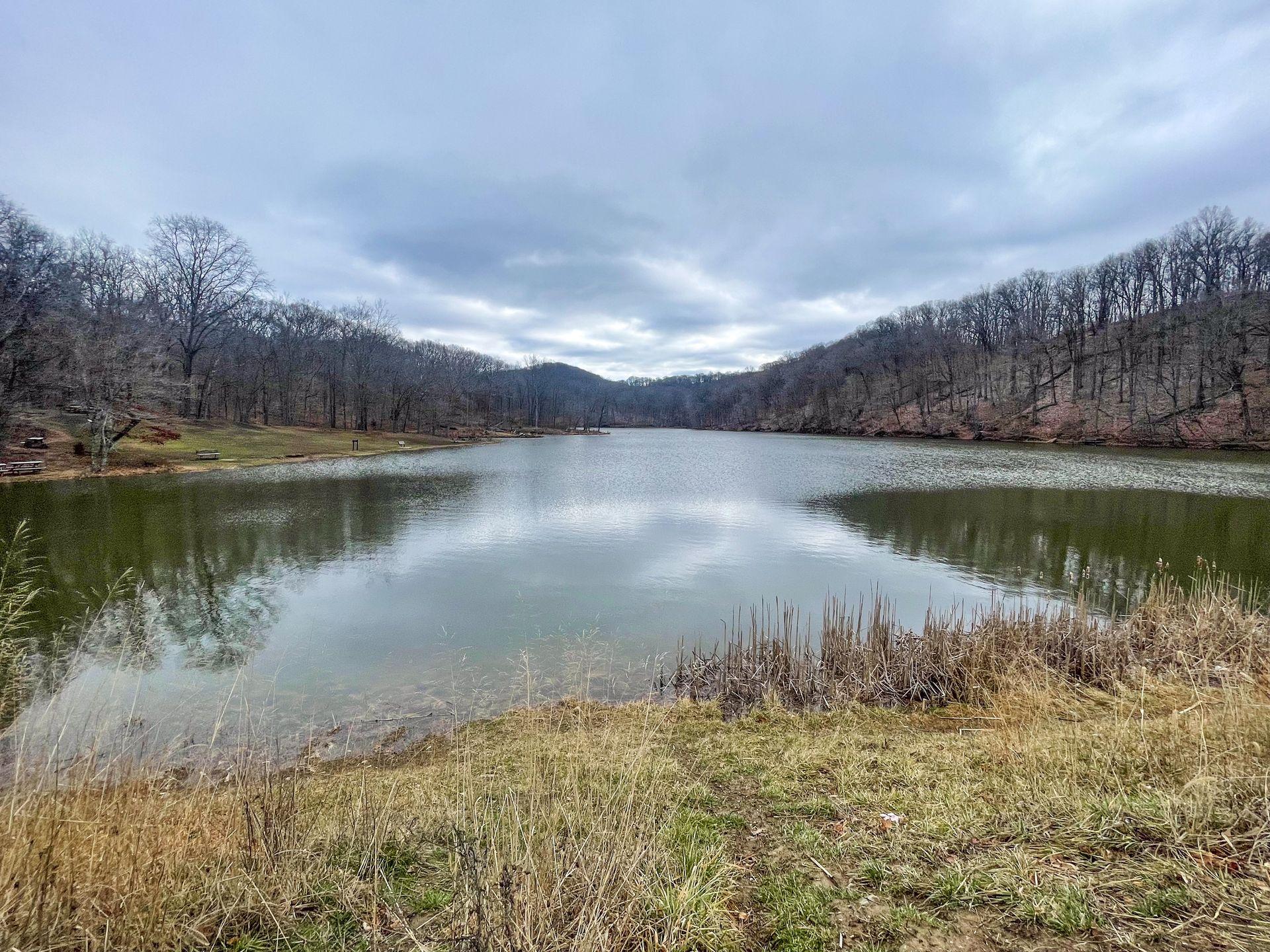 The view of a lake surrounded by trees in Brown County State Park.