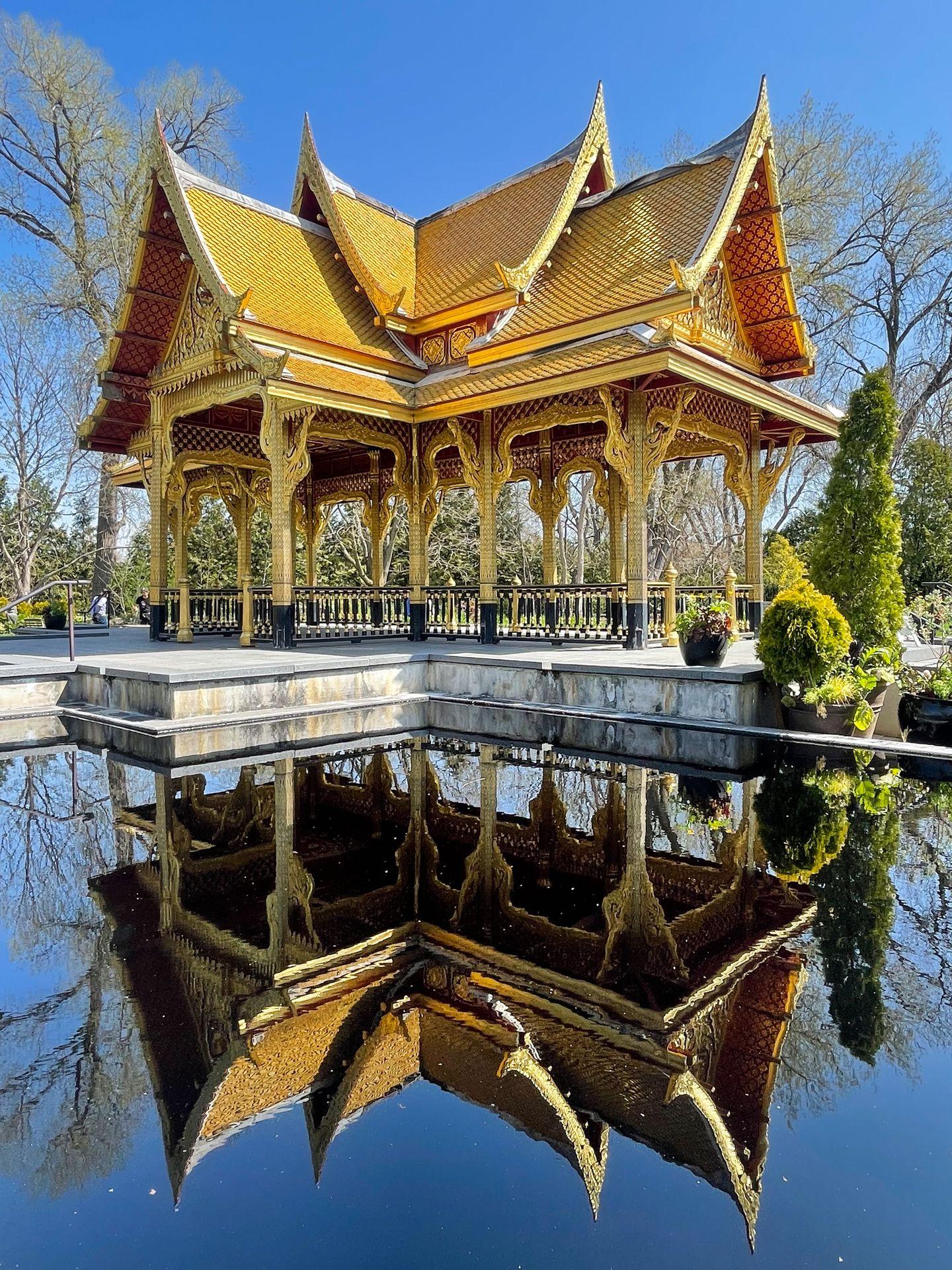 The gold Thai Pavilion in Olbrich Botanical Gardens reflecting in the pool below.