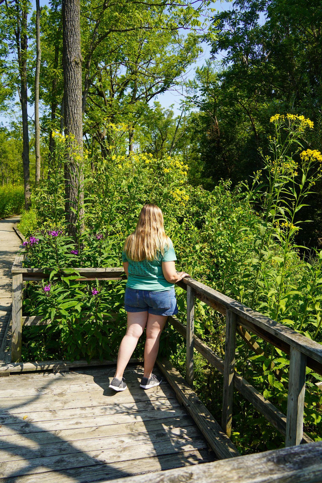 Lydia gazing out at a view of greenery and flowers in the Millbrook Marsh Nature Center