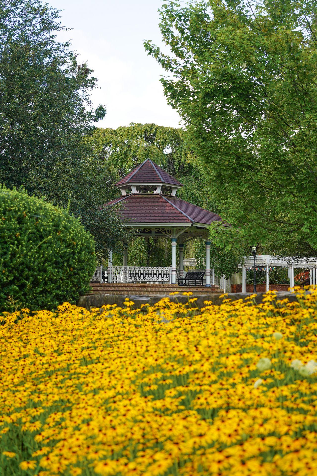 A gazebo in Talleyrand Park with yellow flowers in the foreground.