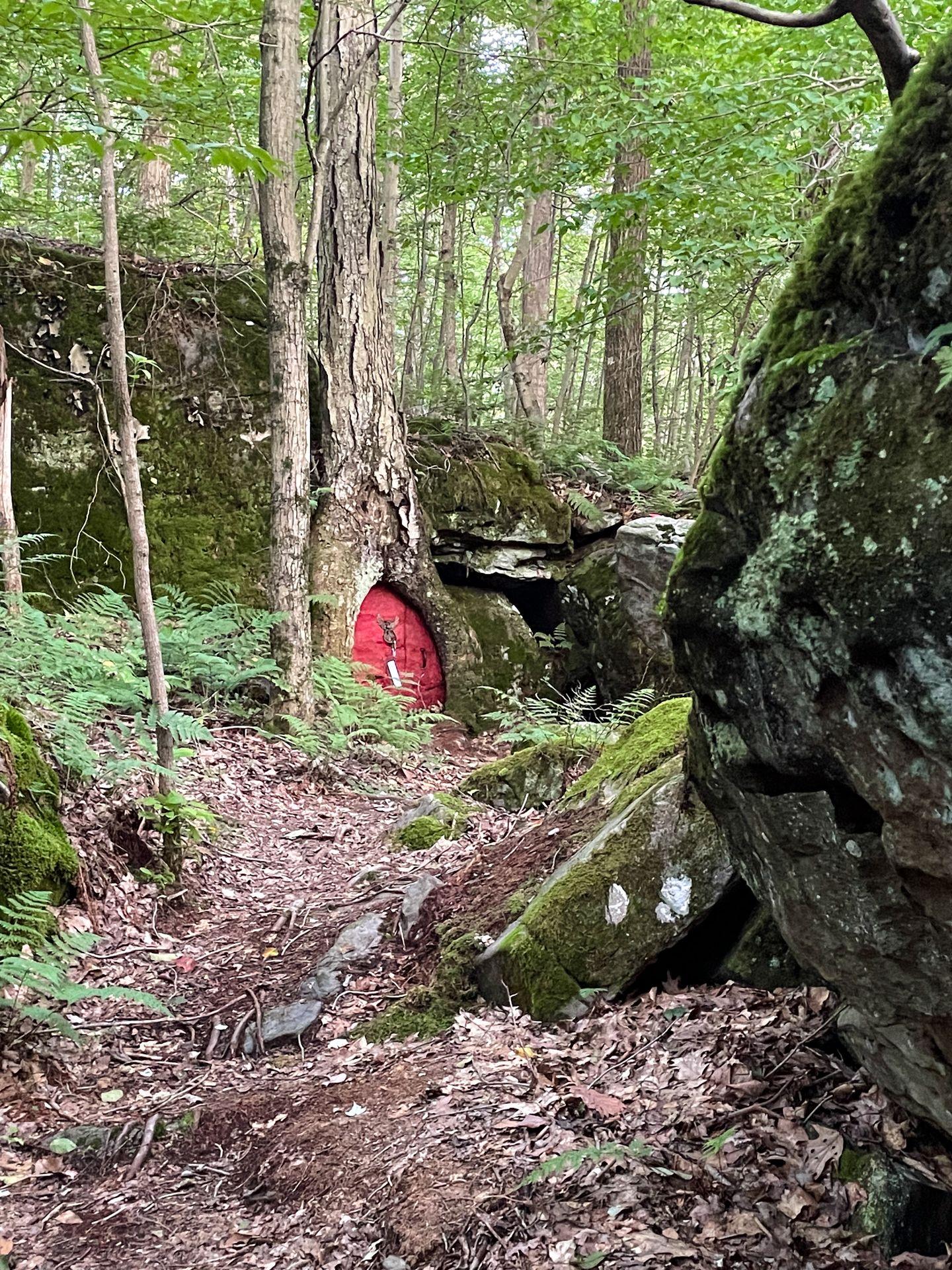 An area of moss-covered rocks and trees on a trail near the Hobbit House. On the tree, there is mini a red door. A white clue hangs on the outside of the door.
