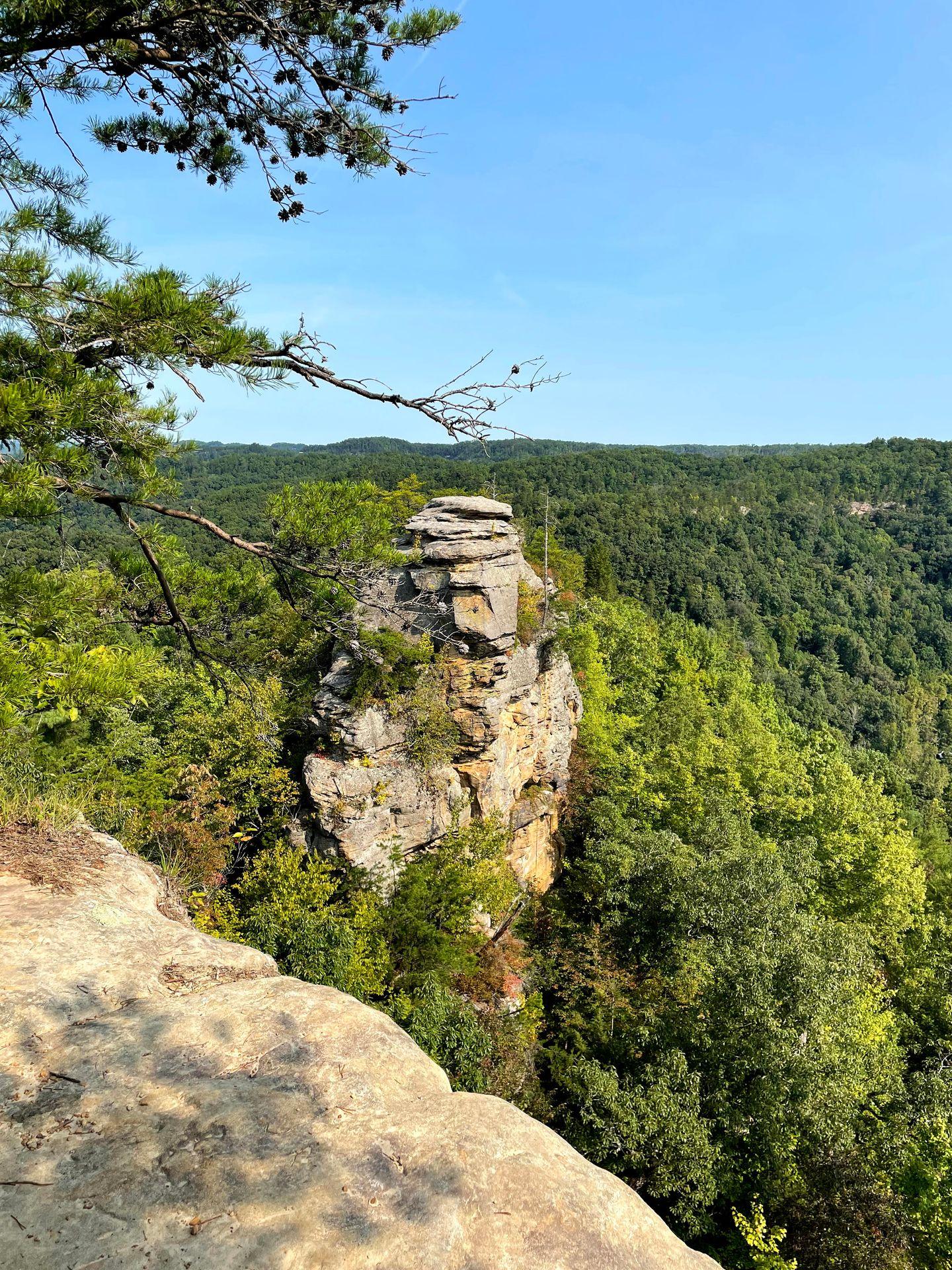 A large, rounded seen from the trail at Natural Bridge State Resort Park