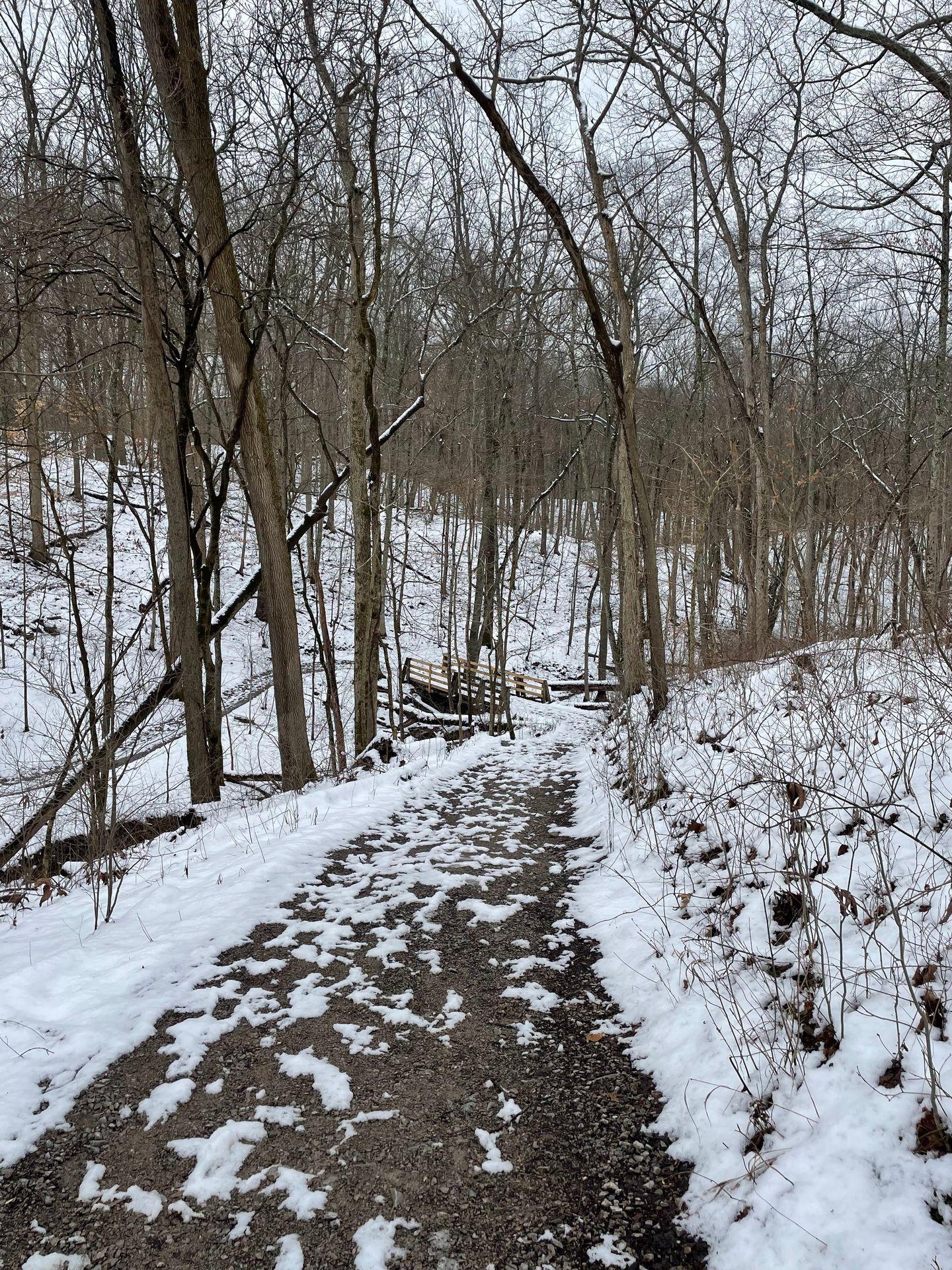 A snow covered trail surrounded by trees at the Cincinnati Nature Center